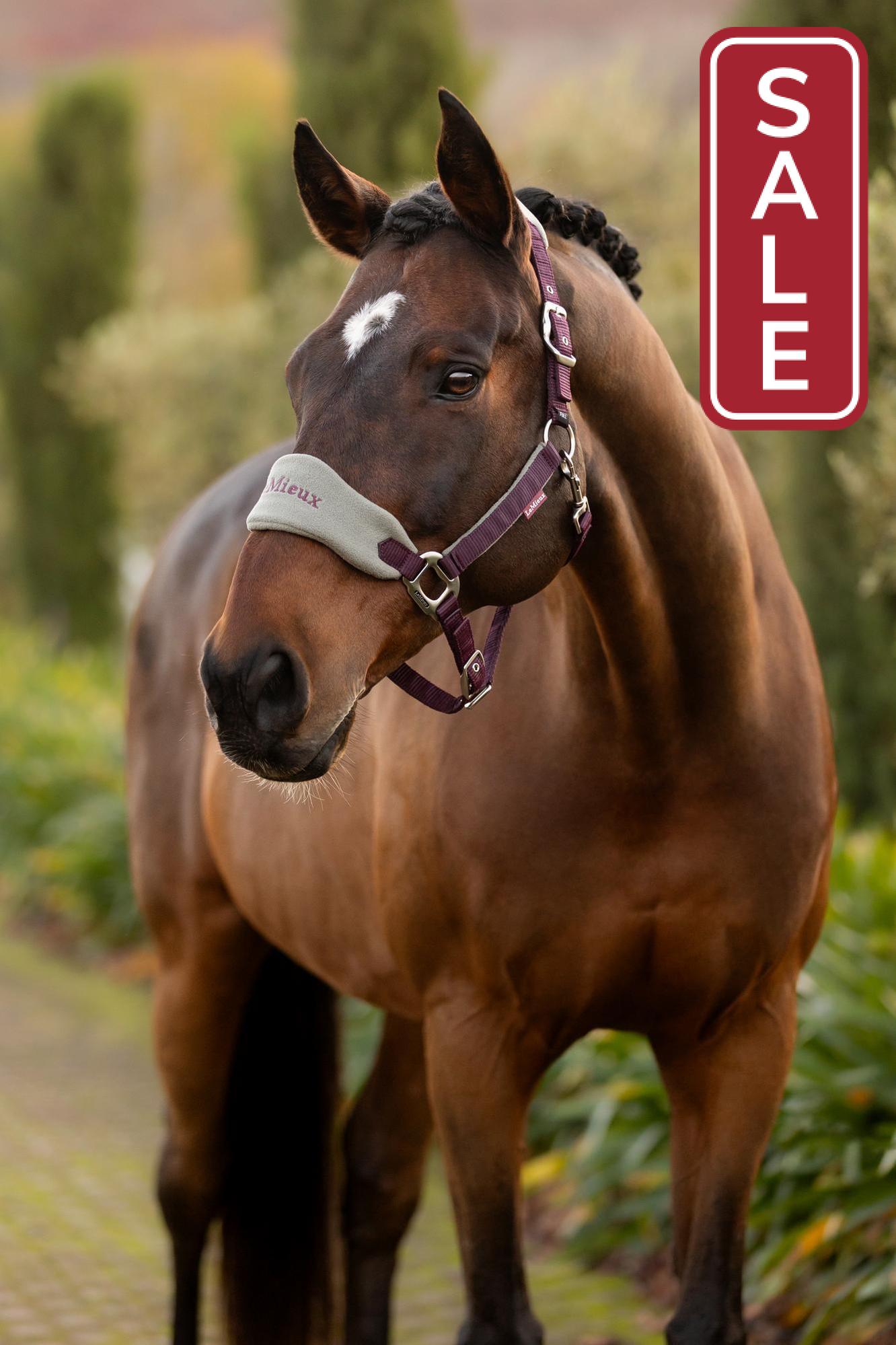 LeMieux Vogue Halter with Leadrope Damson-Halter-LeMieux-Pony-Evolution Equestrian Co.
