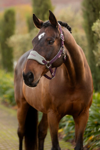 LeMieux Vogue Halter with Leadrope Damson-Halter-LeMieux-Pony-Evolution Equestrian Co.