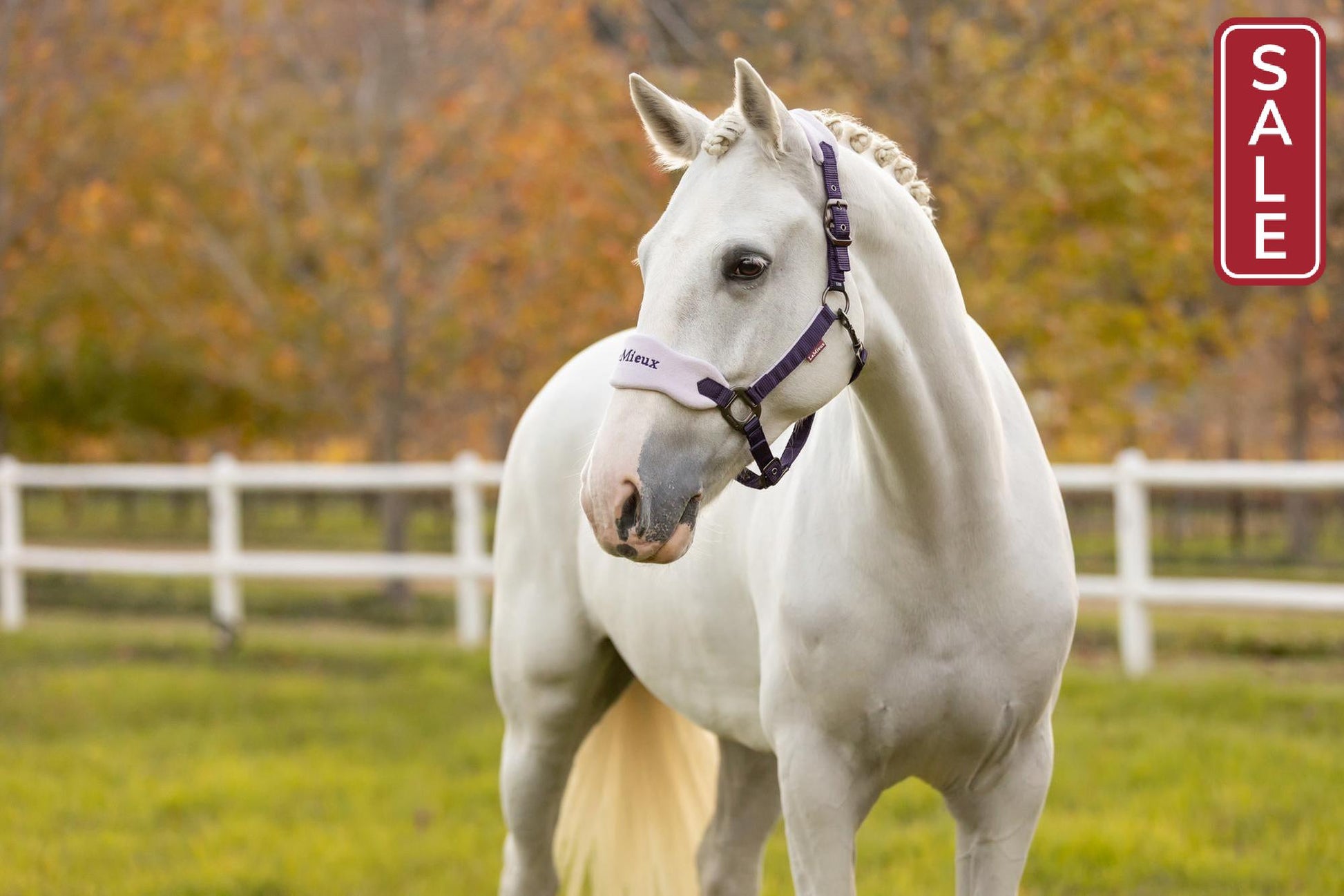 LeMieux Vogue Halter with Leadrope Juniper-Halter-LeMieux-Pony-Evolution Equestrian Co.