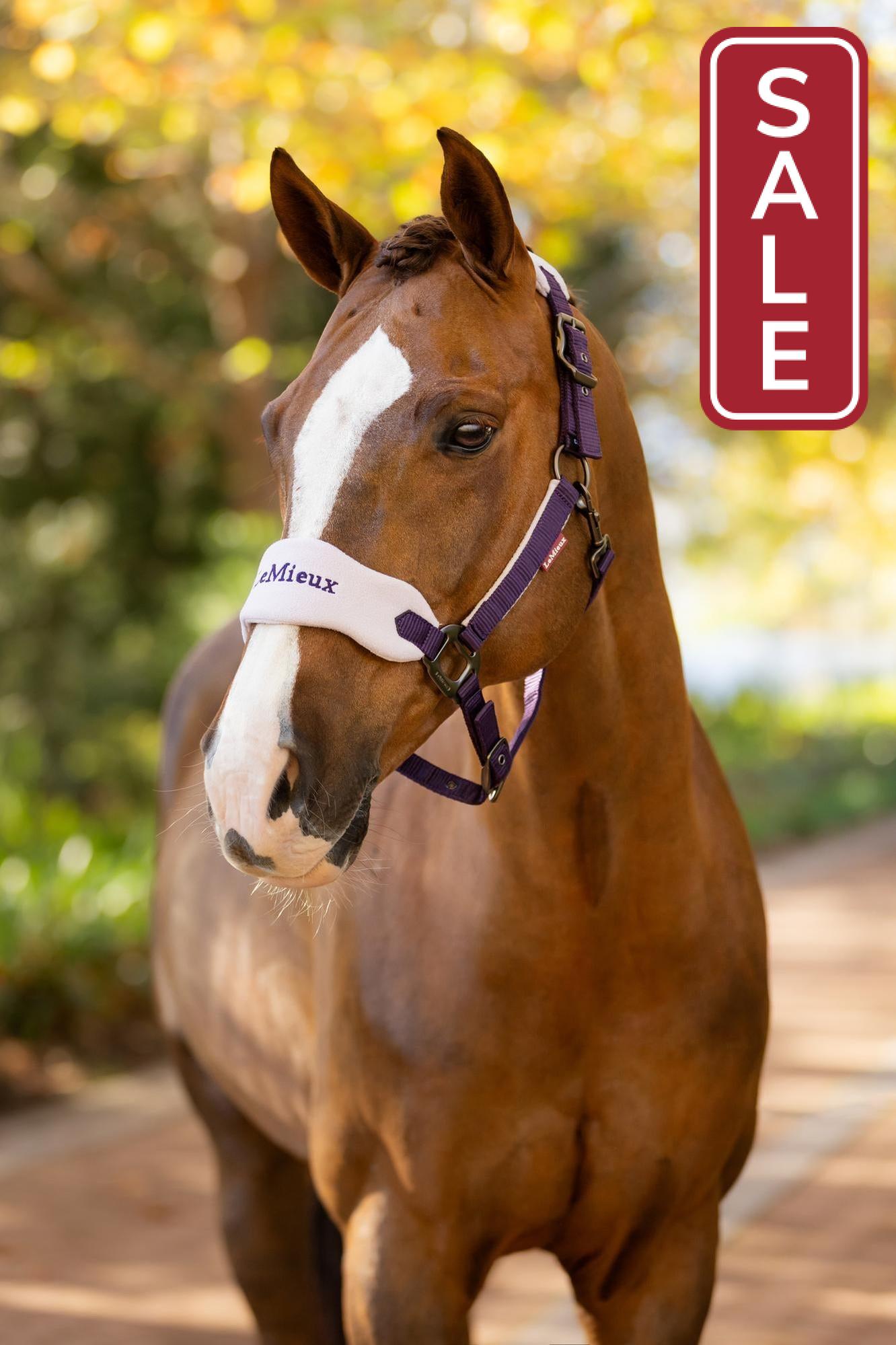LeMieux Vogue Halter with Leadrope Juniper-Halter-LeMieux-Pony-Evolution Equestrian Co.