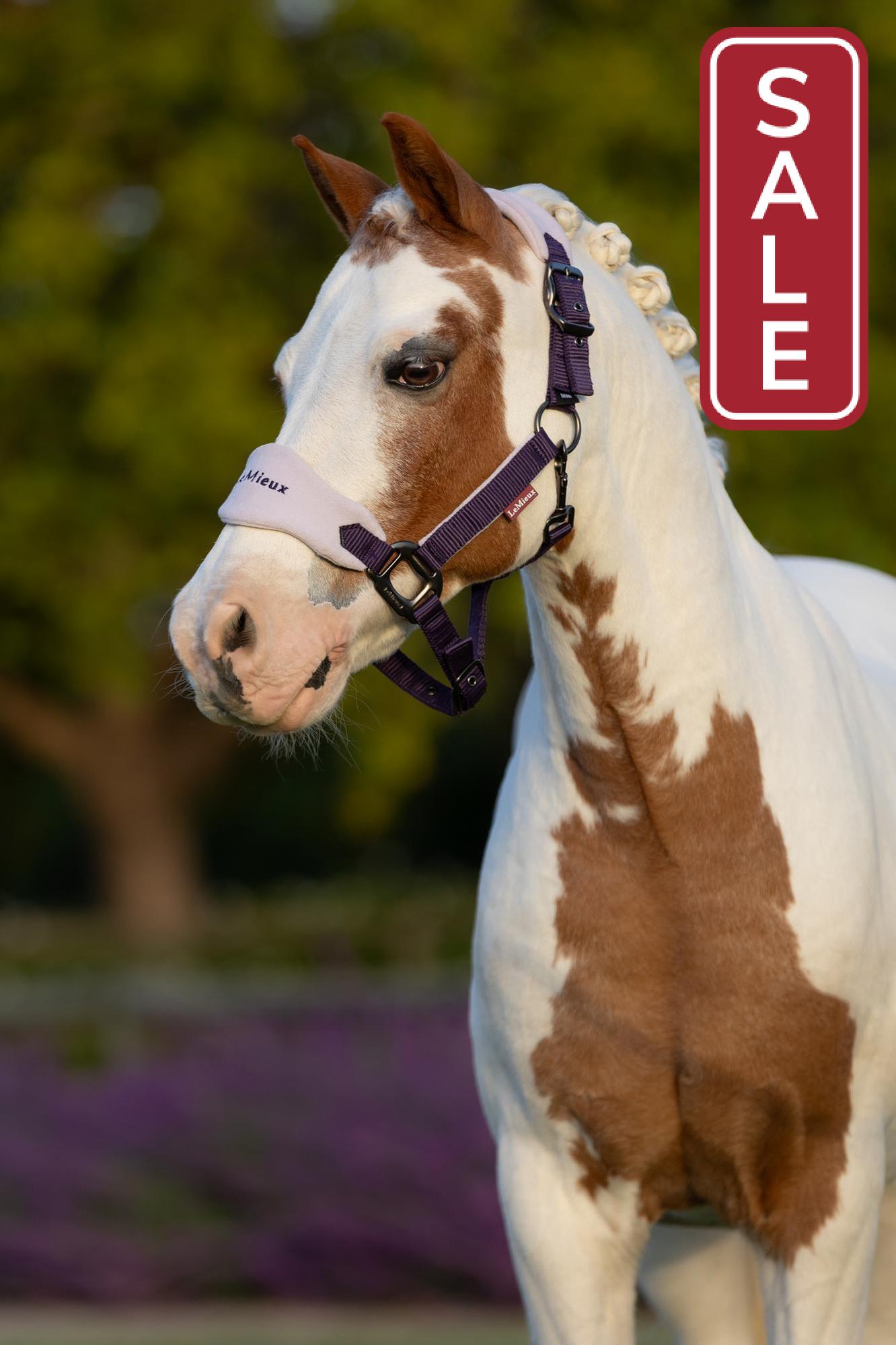 LeMieux Vogue Halter with Leadrope Juniper-Halter-LeMieux-Pony-Evolution Equestrian Co.