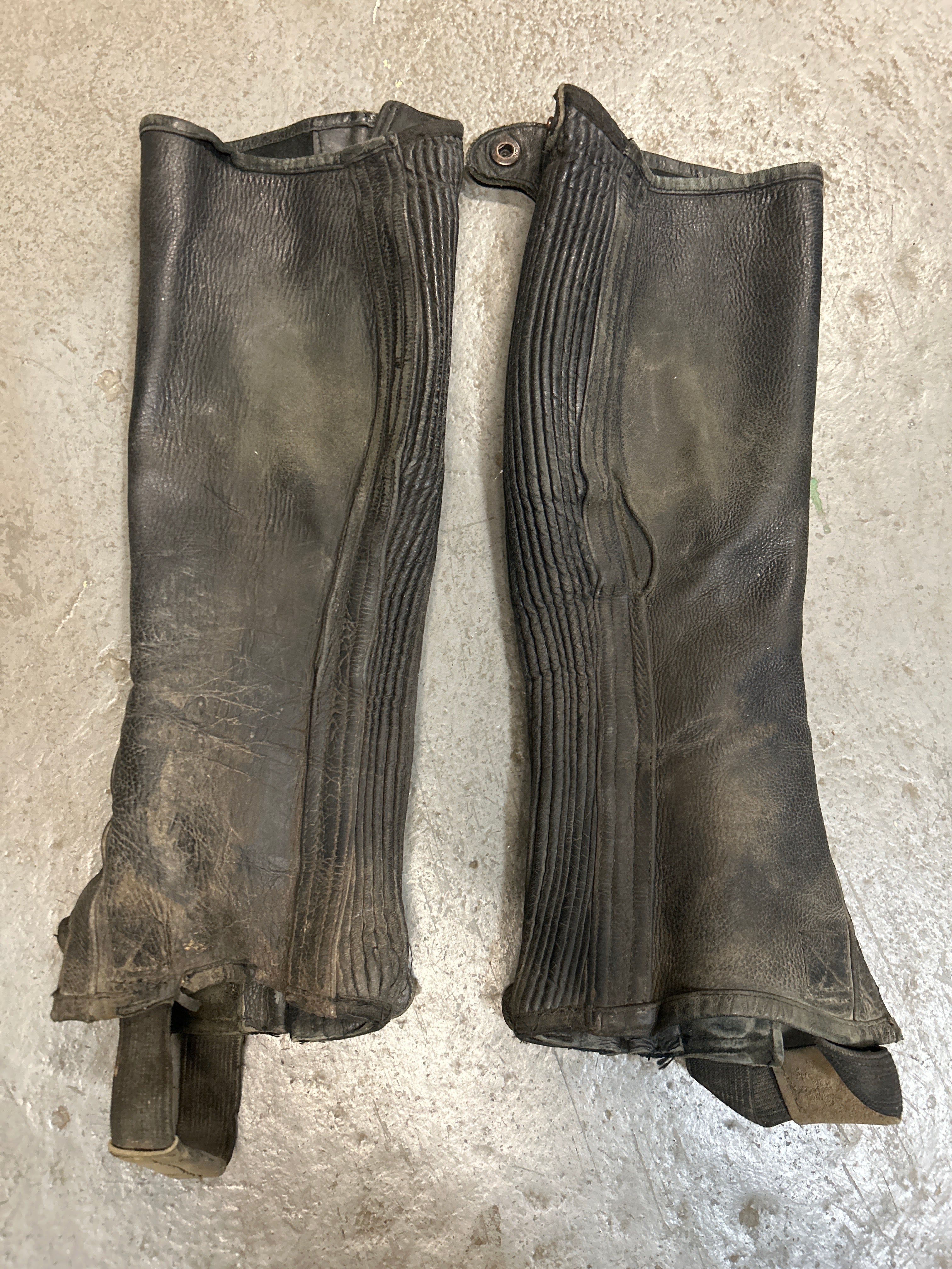 Leather Half Chaps Large-Half Chaps-Consignment-Evolution Equestrian Co.