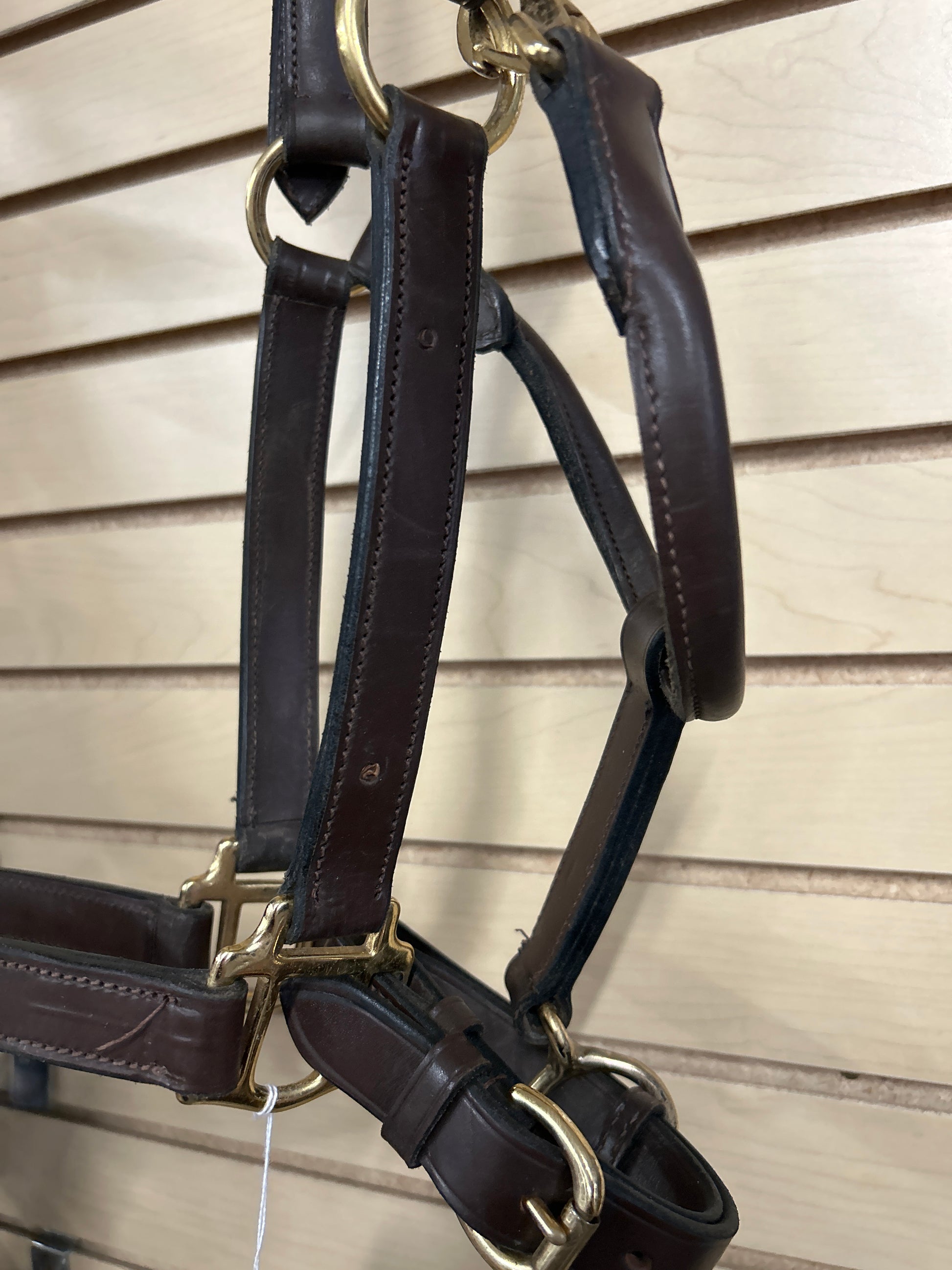 Leather Halter-Halter-Consignment-Evolution Equestrian Co.