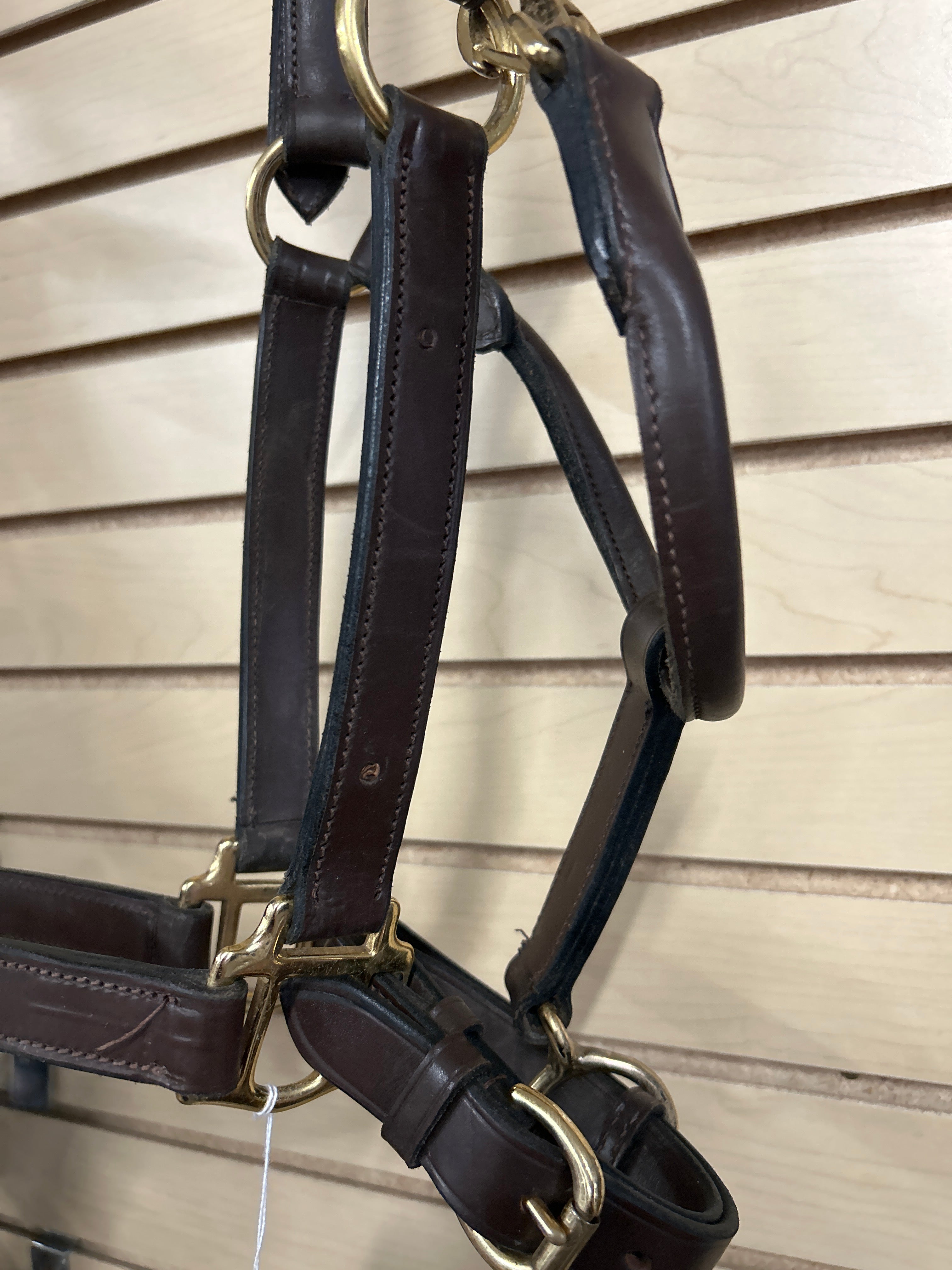 Leather Halter-Halter-Consignment-Evolution Equestrian Co.
