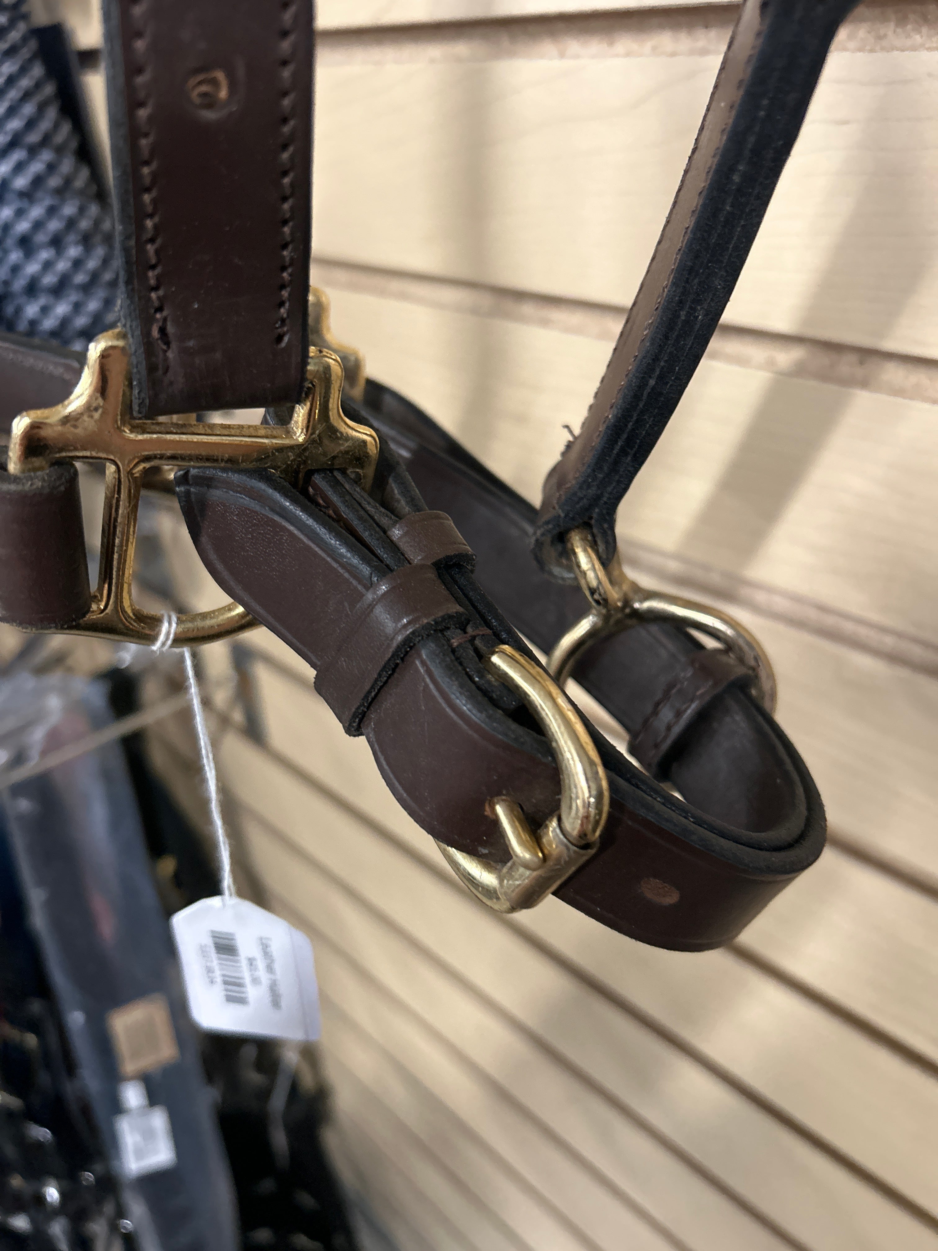 Leather Halter-Halter-Consignment-Evolution Equestrian Co.