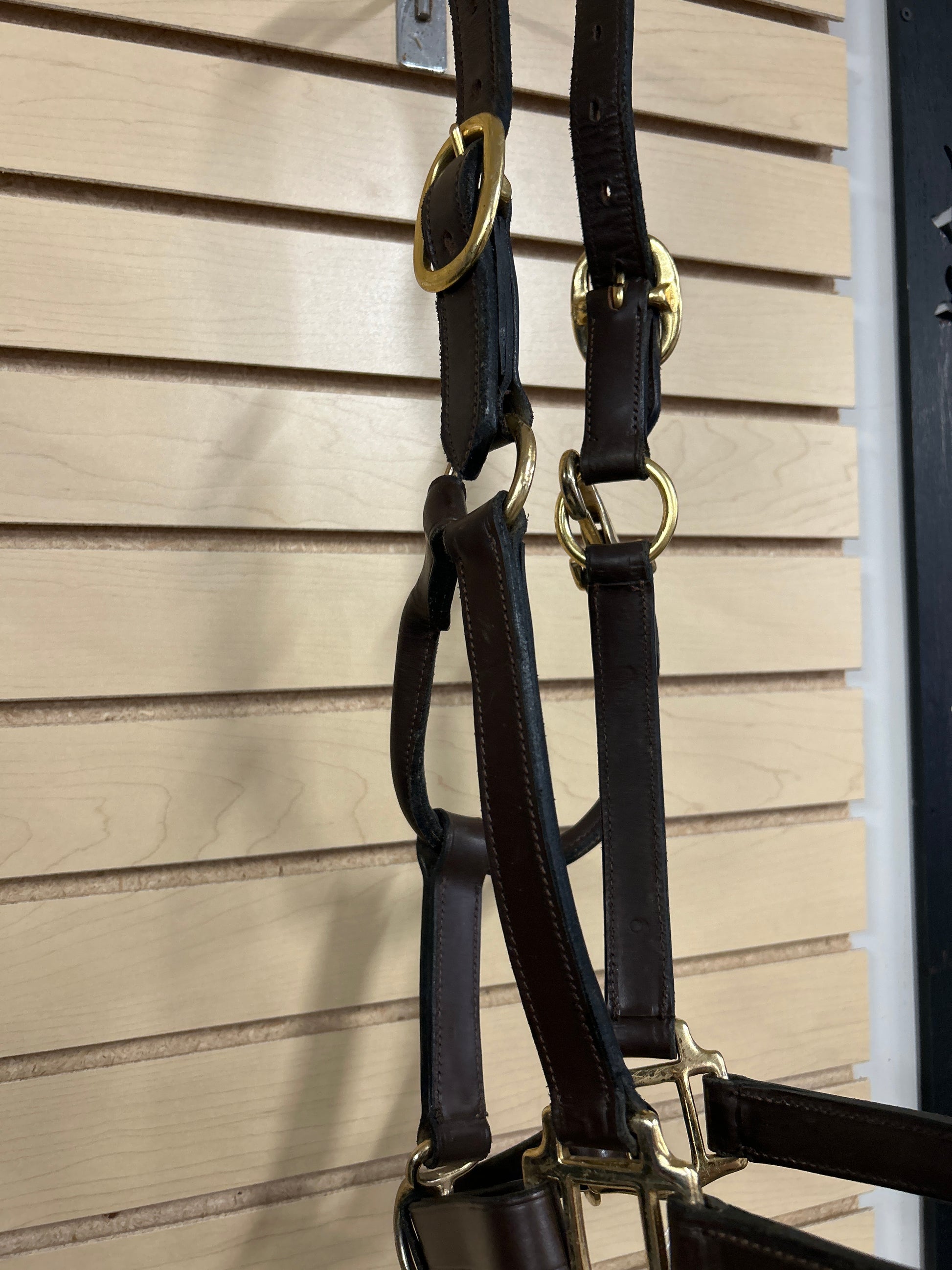 Leather Halter-Halter-Consignment-Evolution Equestrian Co.