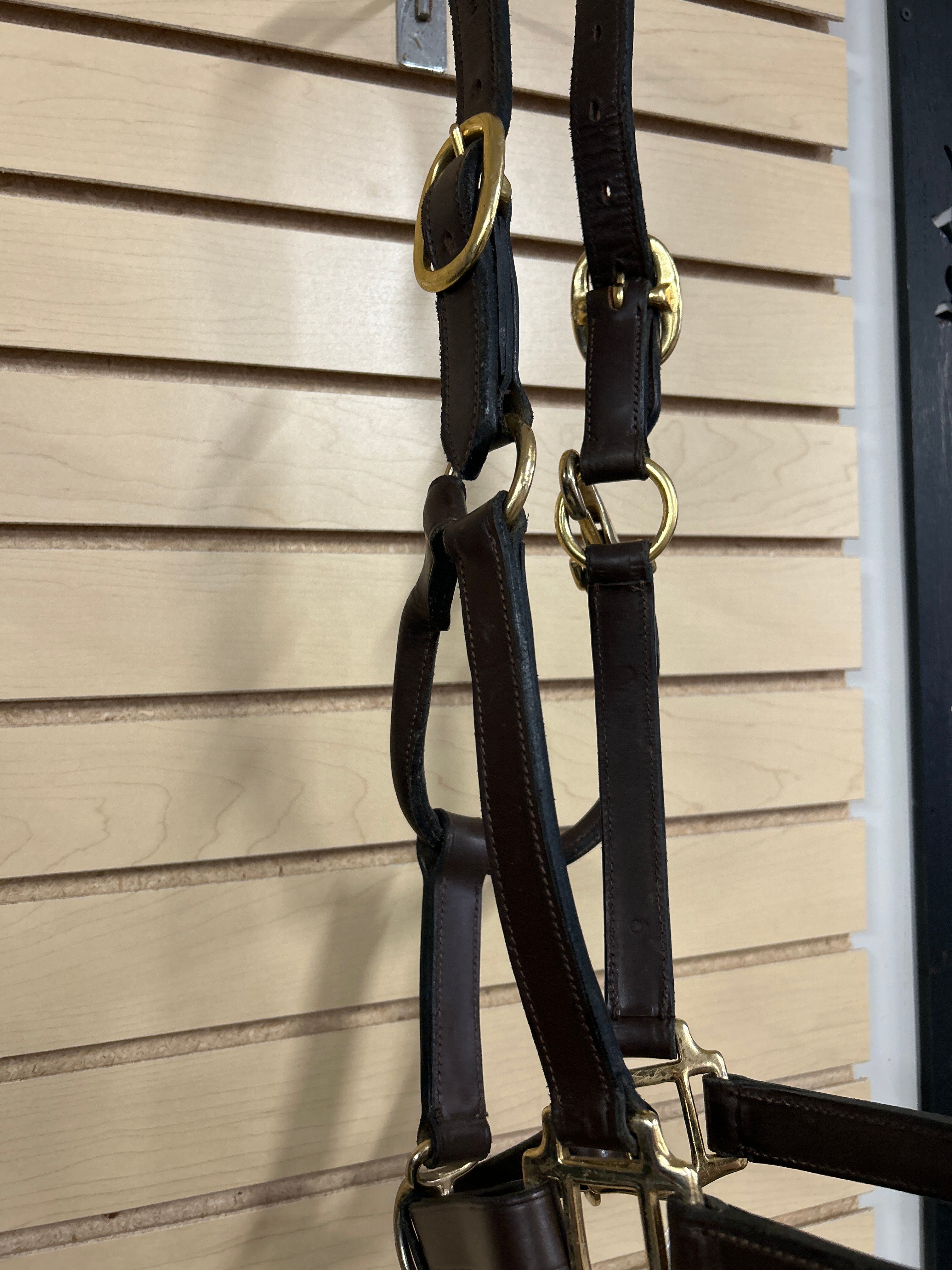 Leather Halter-Halter-Consignment-Evolution Equestrian Co.