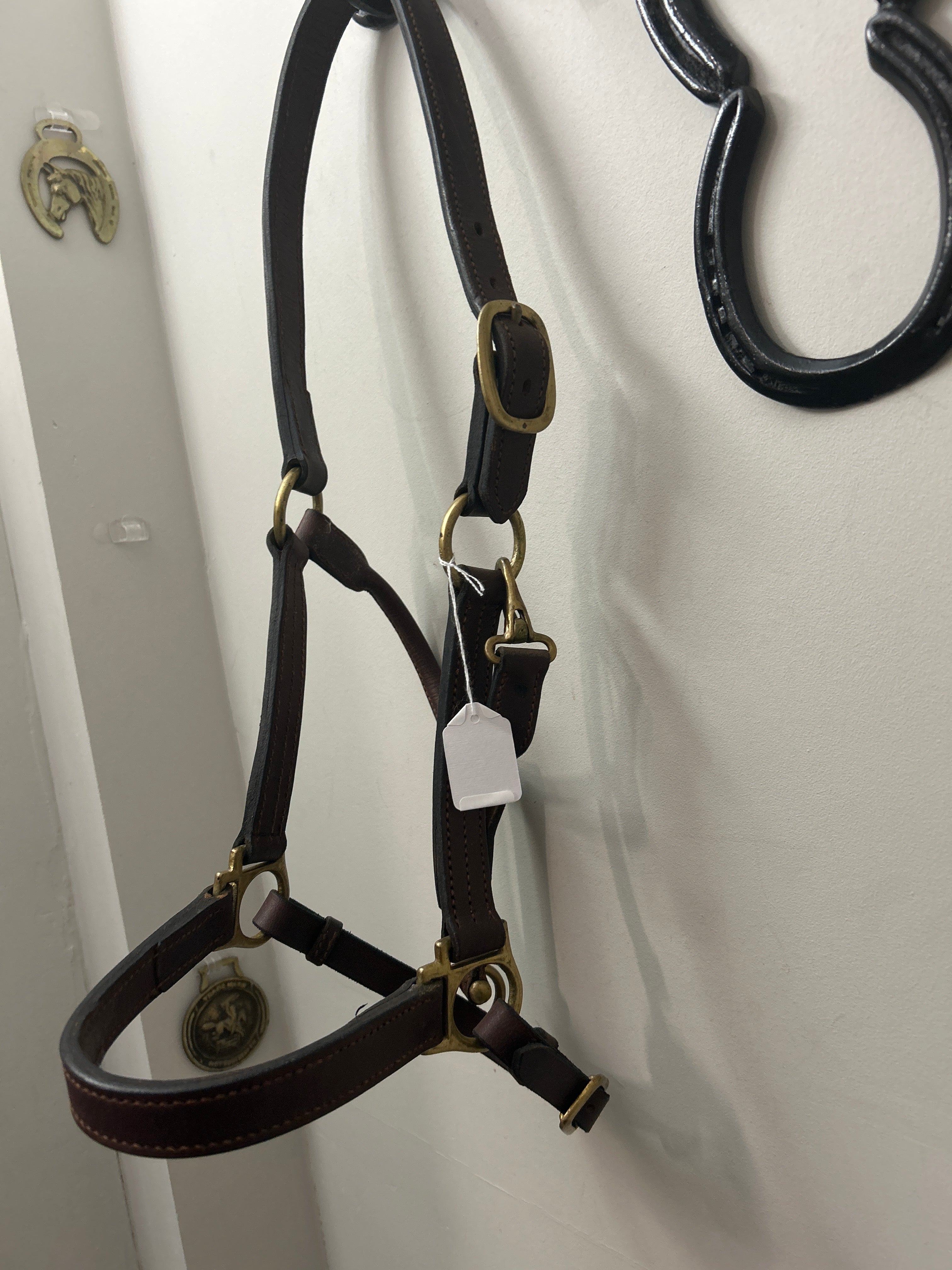 Leather Halter Brown Cob/Small Horse-Leather Halter-Consignment-Evolution Equestrian Co.