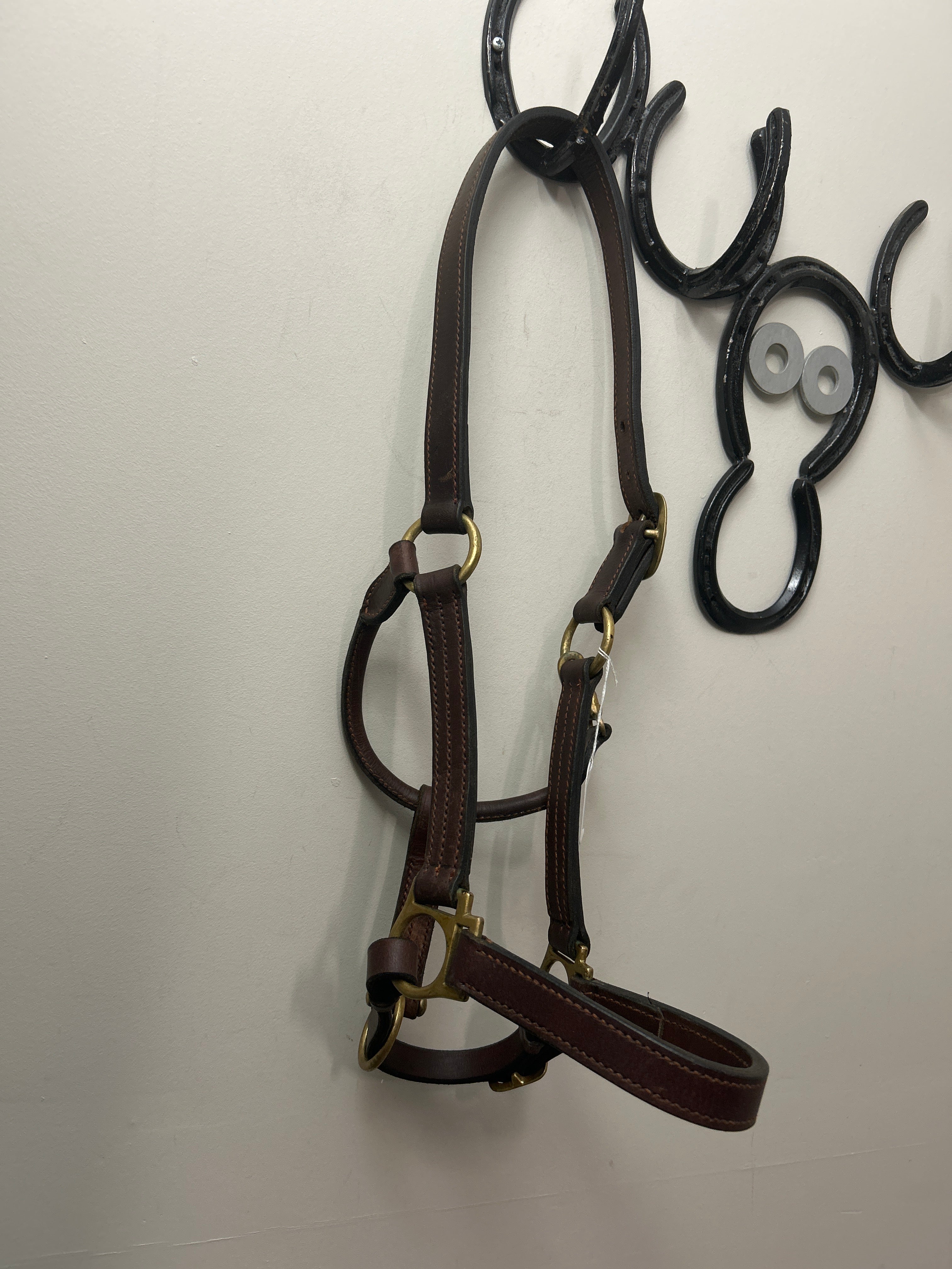 Leather Halter Brown Cob/Small Horse-Leather Halter-Consignment-Evolution Equestrian Co.