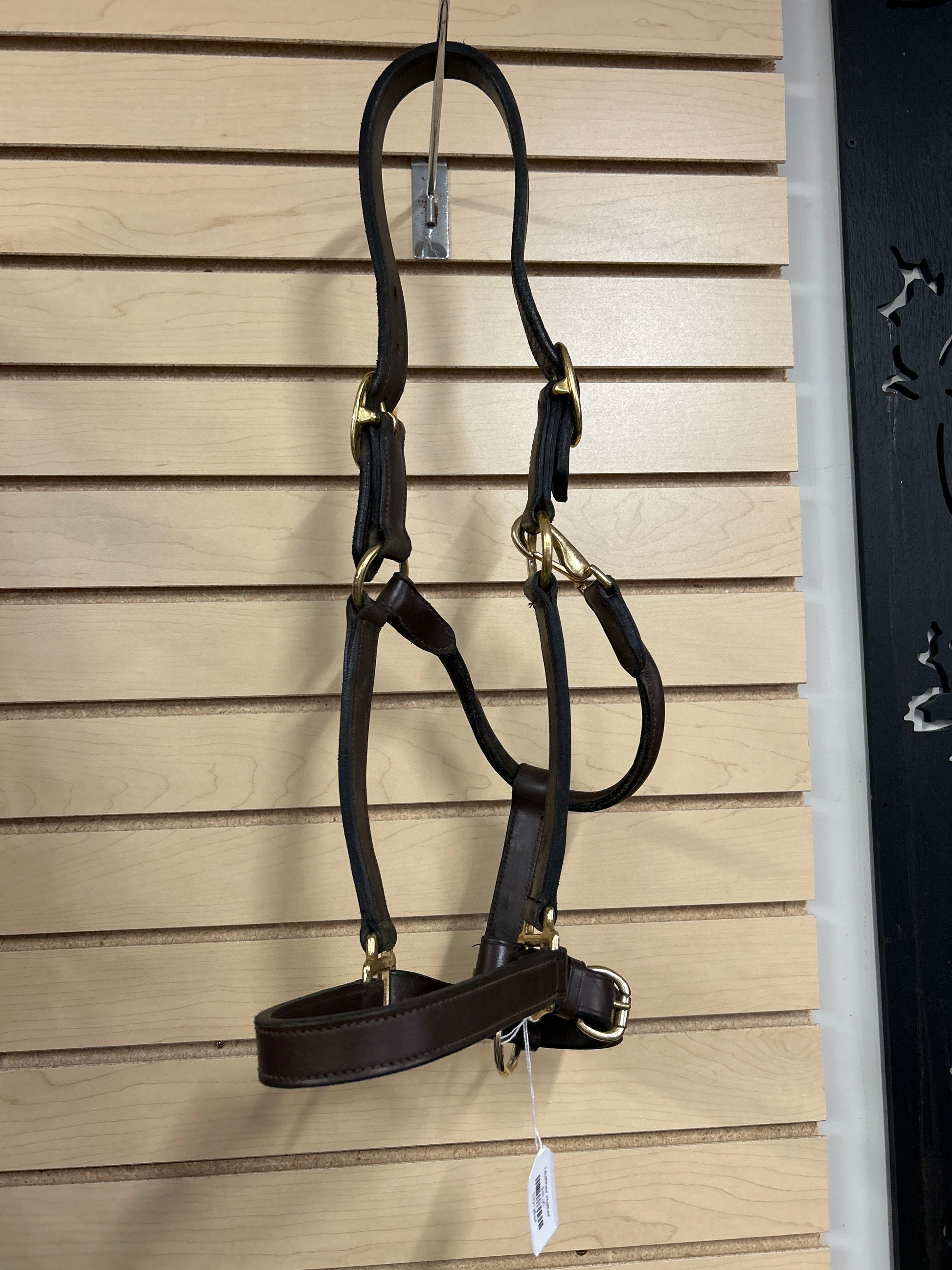 Leather Halter-Halter-Consignment-Evolution Equestrian Co.
