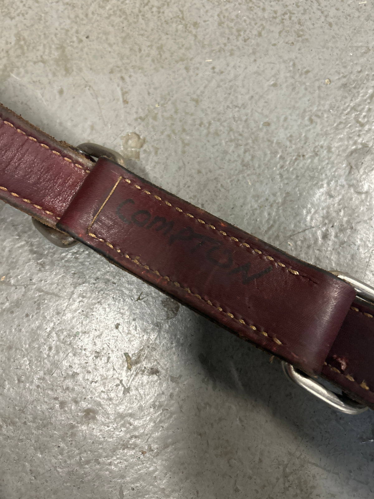 Leather Hobbles-Half Chaps-Consignment-Evolution Equestrian Co.