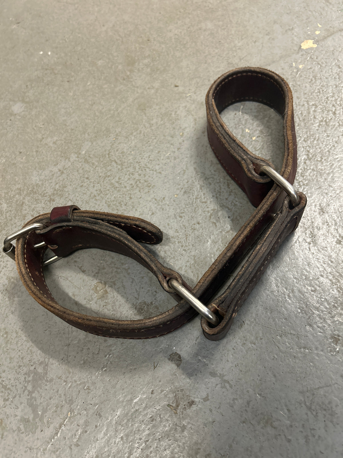 Leather Hobbles-Half Chaps-Consignment-Evolution Equestrian Co.