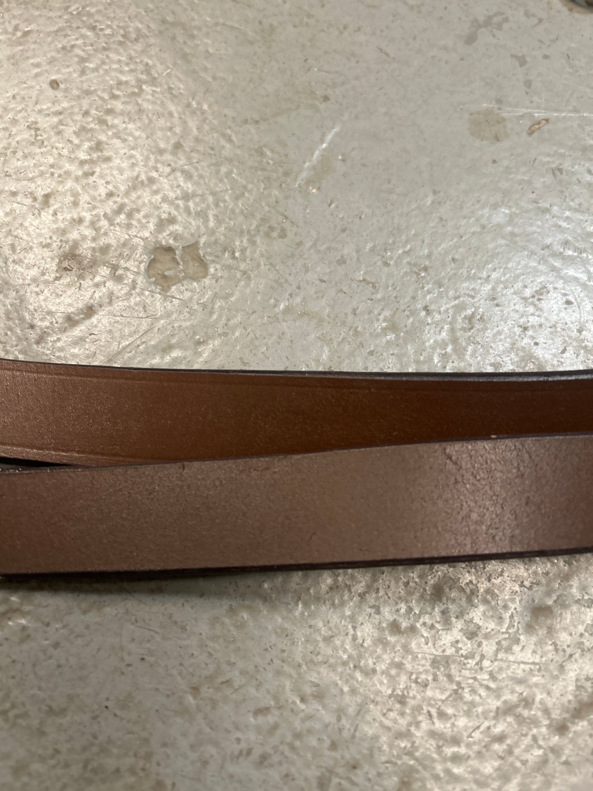 Leather Lead Chain-Lead Rope-Consignment-Evolution Equestrian Co.