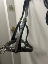 Load image into Gallery viewer, Leather Lunging Cavesson-Horse Training-Consignment-Evolution Equestrian Co.

