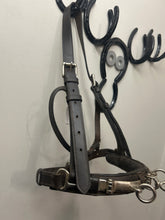 Load image into Gallery viewer, Leather Lunging Cavesson-Horse Training-Consignment-Evolution Equestrian Co.
