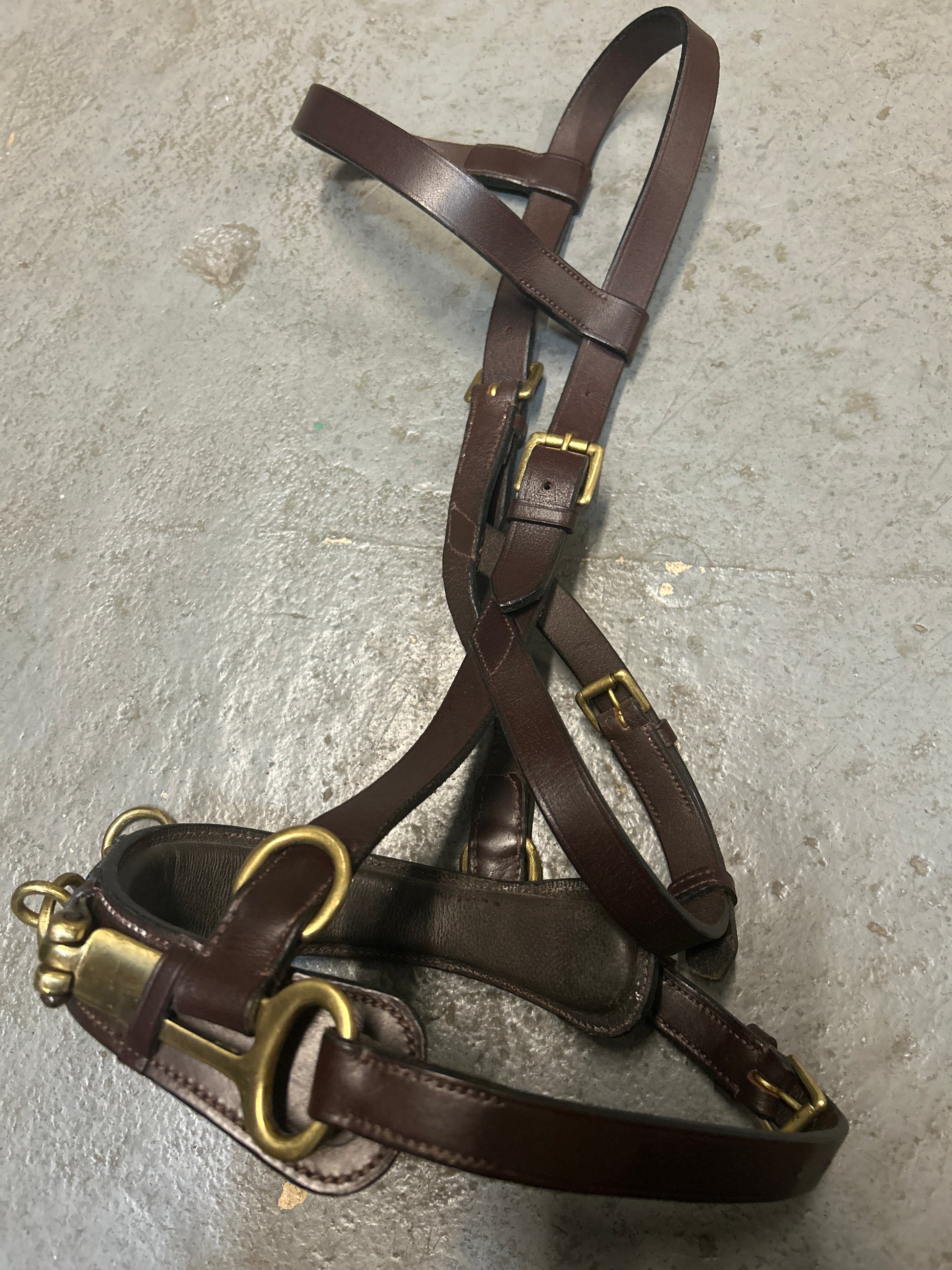 Leather Lunging Cavesson-Horse Training-Consignment-Evolution Equestrian Co.