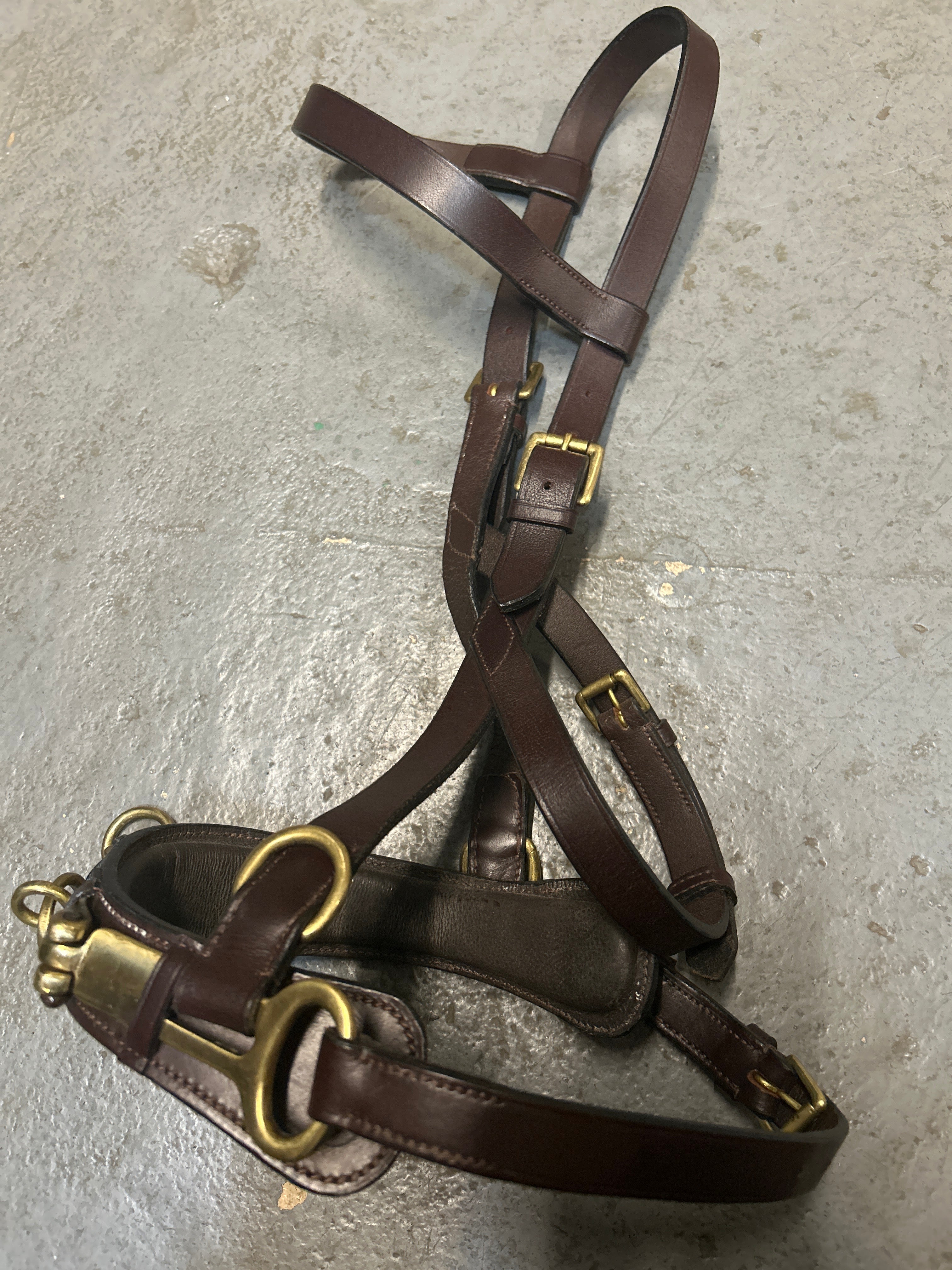 Leather Lunging Cavesson-Horse Training-Consignment-Evolution Equestrian Co.