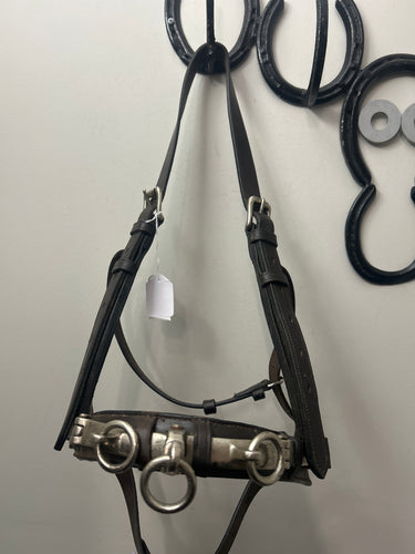 Leather Lunging Cavesson-Horse Training-Consignment-Evolution Equestrian Co.