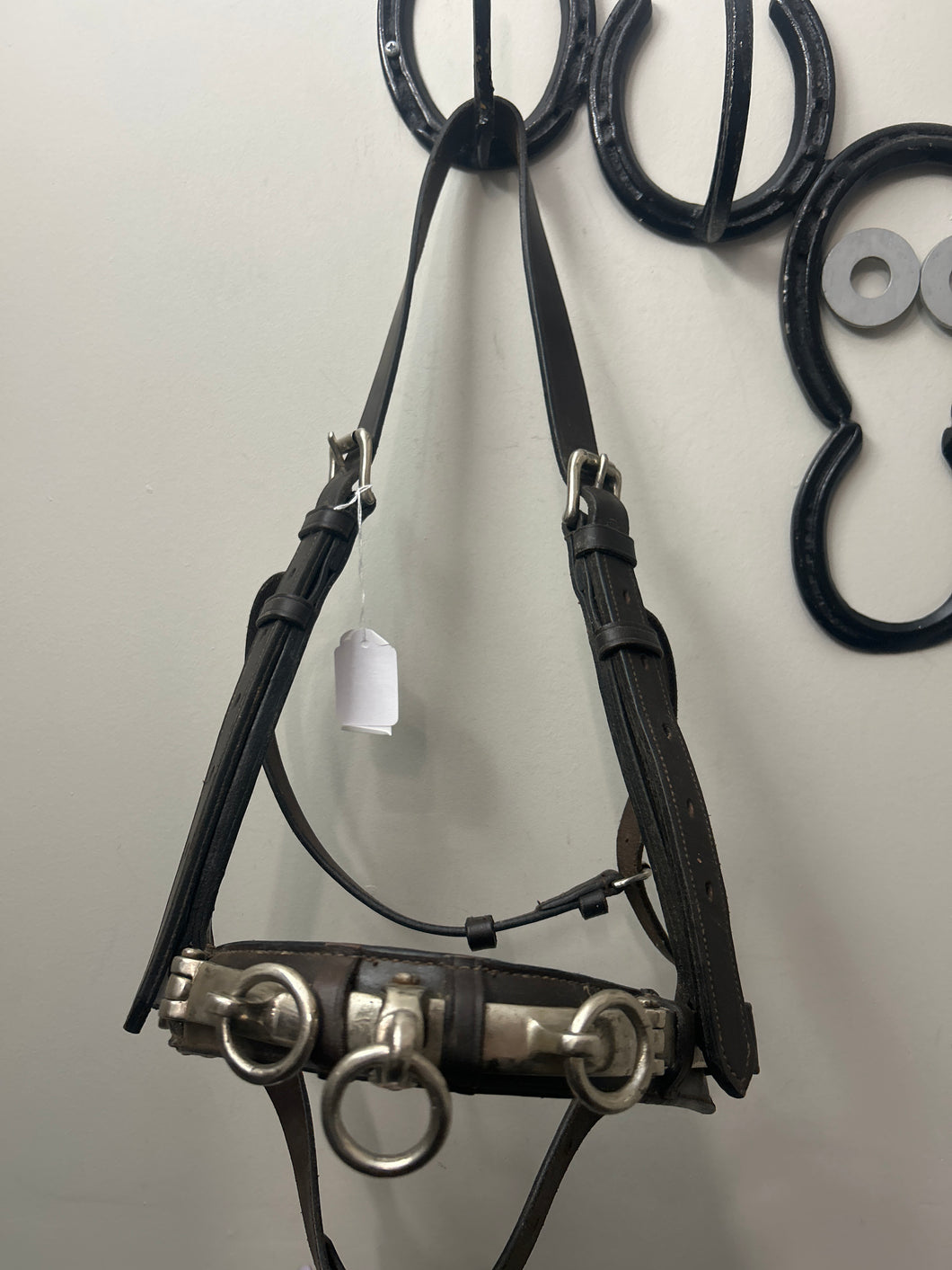 Leather Lunging Cavesson-Horse Training-Consignment-Evolution Equestrian Co.