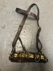 Leather Lunging Cavesson-Horse Training-Consignment-Evolution Equestrian Co.
