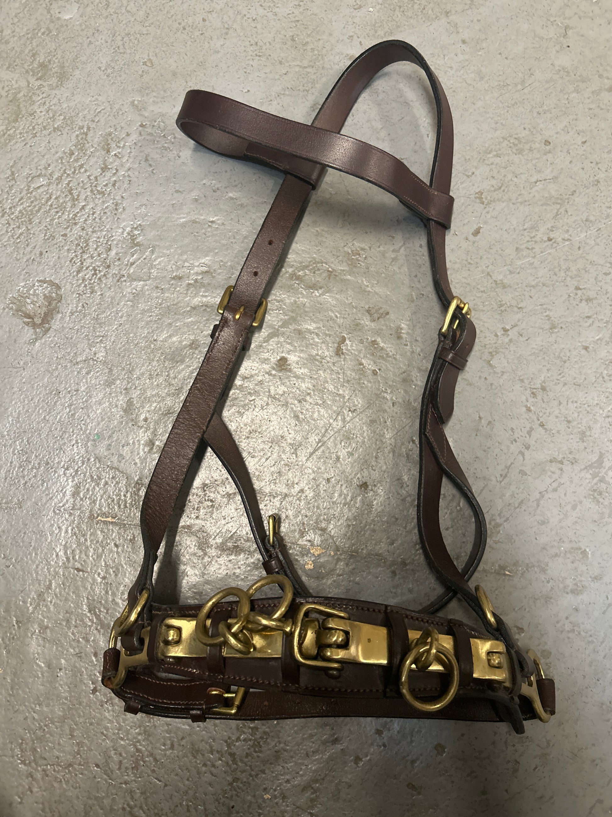 Leather Lunging Cavesson-Horse Training-Consignment-Evolution Equestrian Co.
