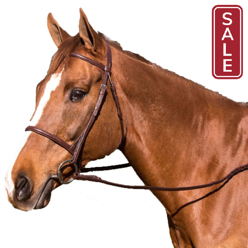 Legacy Plain Raised Bridle-English Bridle-Can Pro Equestrian Supply-Cob-Evolution Equestrian Co.