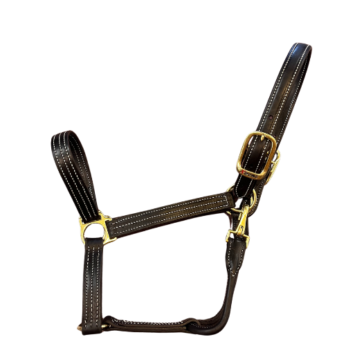 Lexington Leather Halter-Halter-Pegasus-Evolution Equestrian Co.