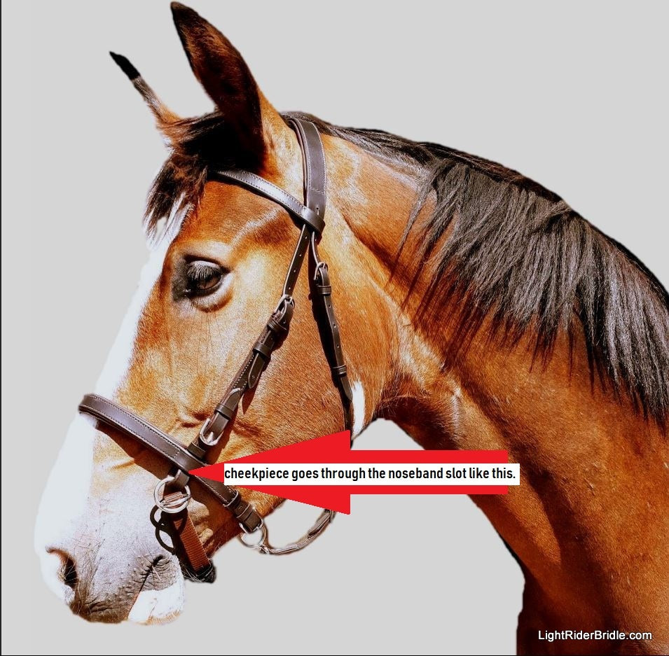 Lightrider Leather Bitless Noseband Brown Cob-Bitless Bridle-Consignment-Evolution Equestrian Co.