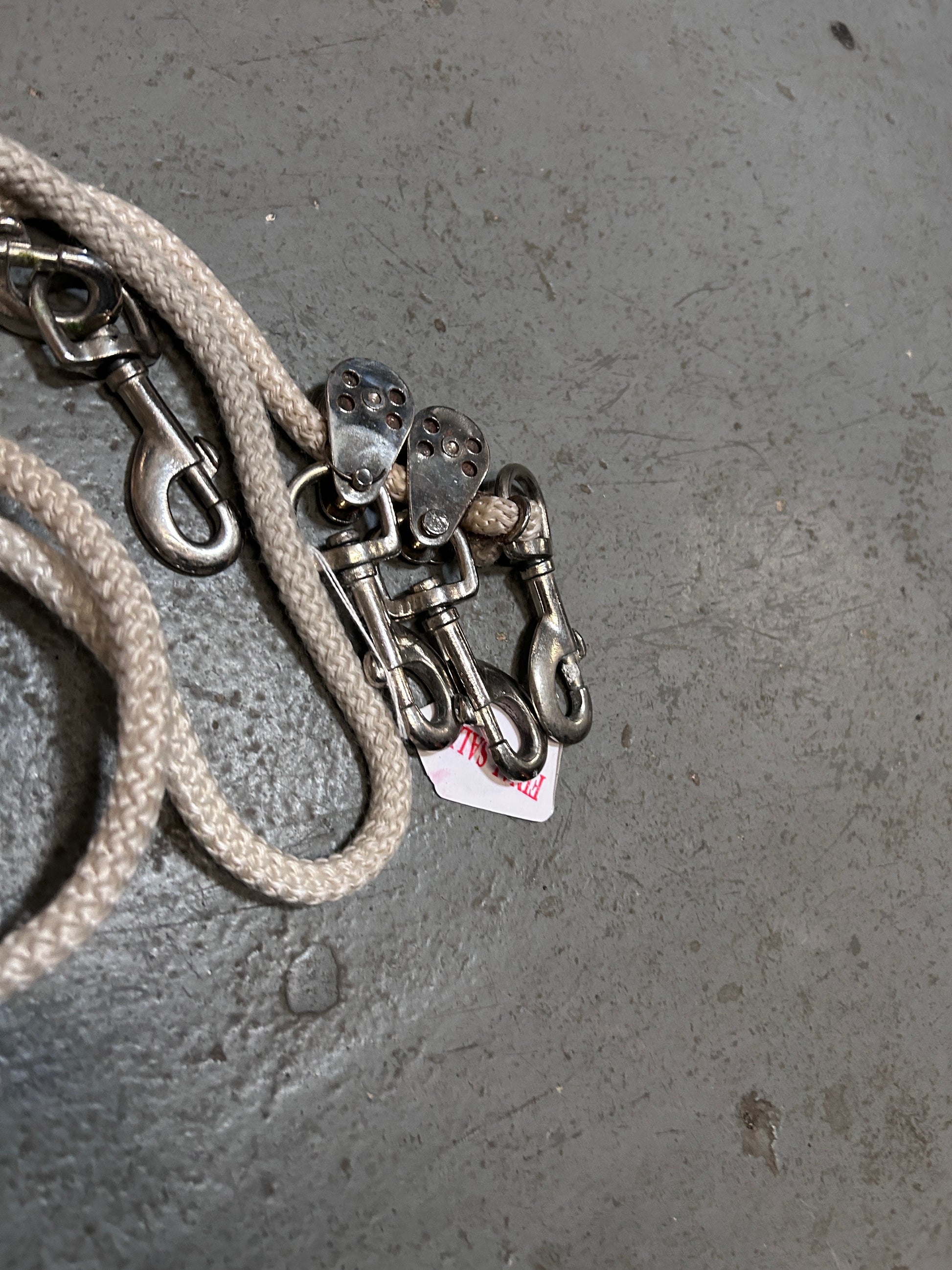 Lunging System-Horse Training-Consignment-Evolution Equestrian Co.