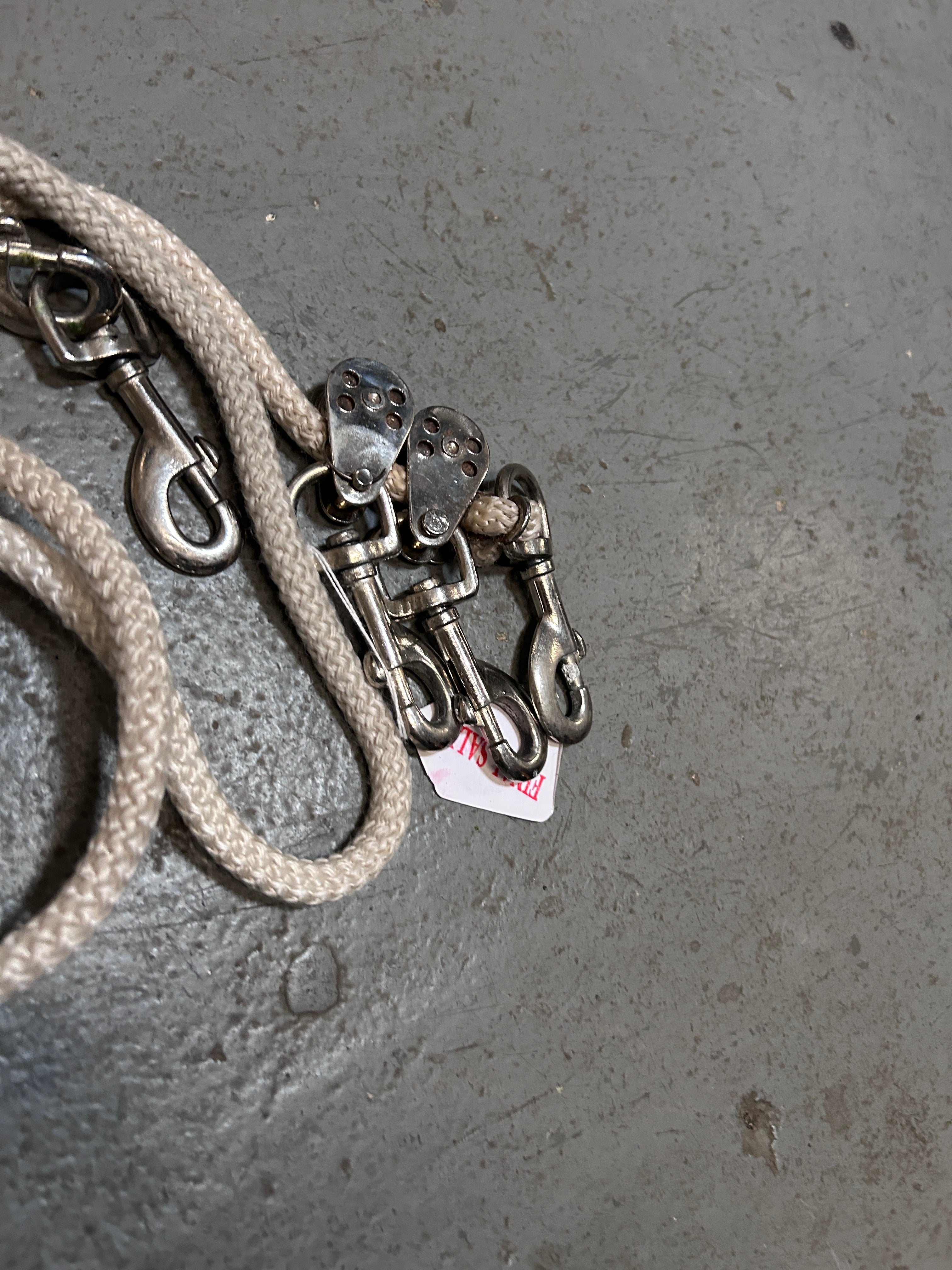 Lunging System-Horse Training-Consignment-Evolution Equestrian Co.