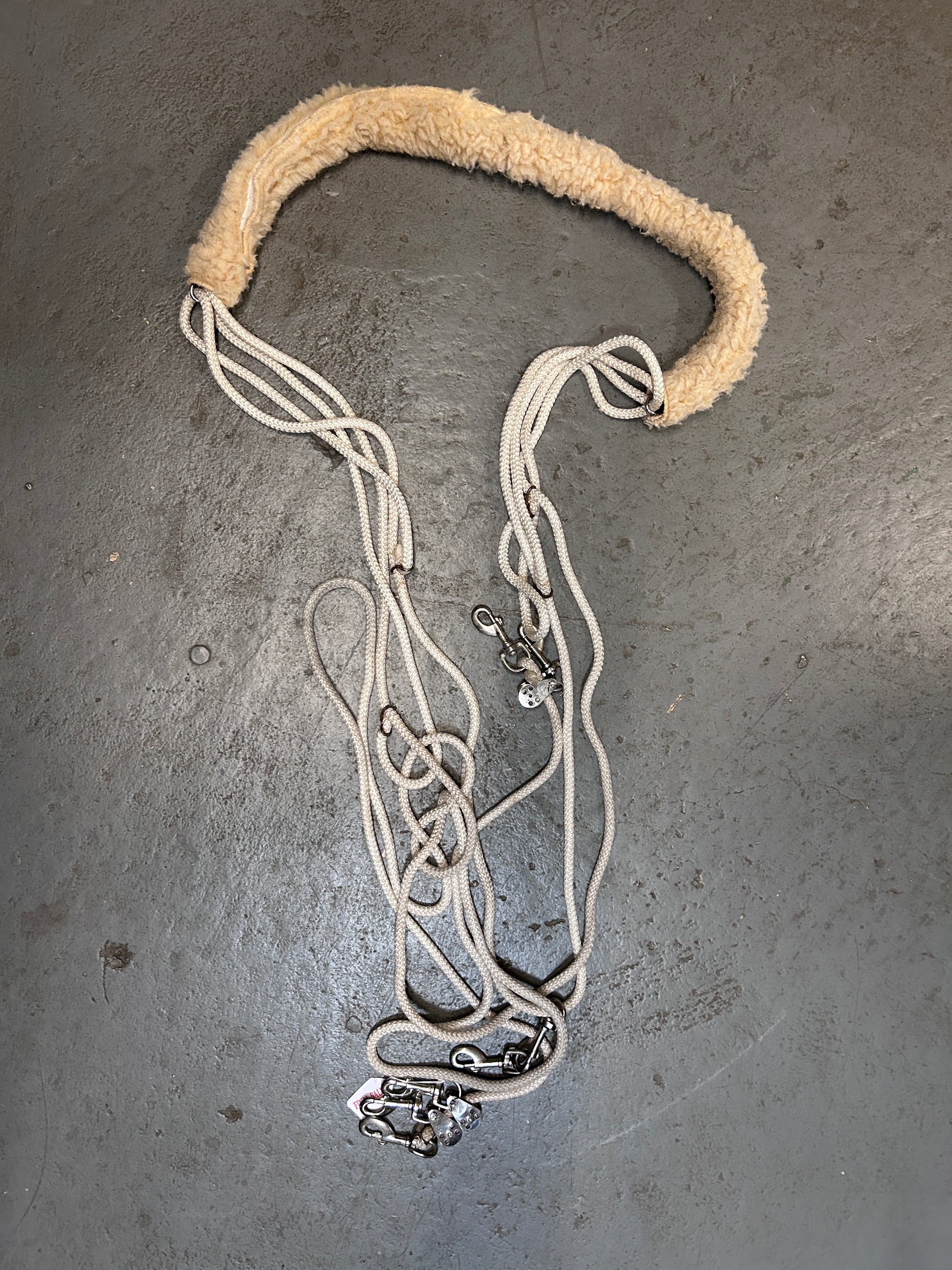 Lunging System-Horse Training-Consignment-Evolution Equestrian Co.