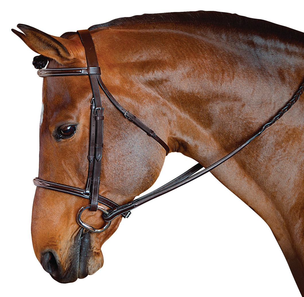 Marcel Toulouse Standard Hunter Bridle-Bridle-Can Pro Equestrian Supply-Evolution Equestrian Co.