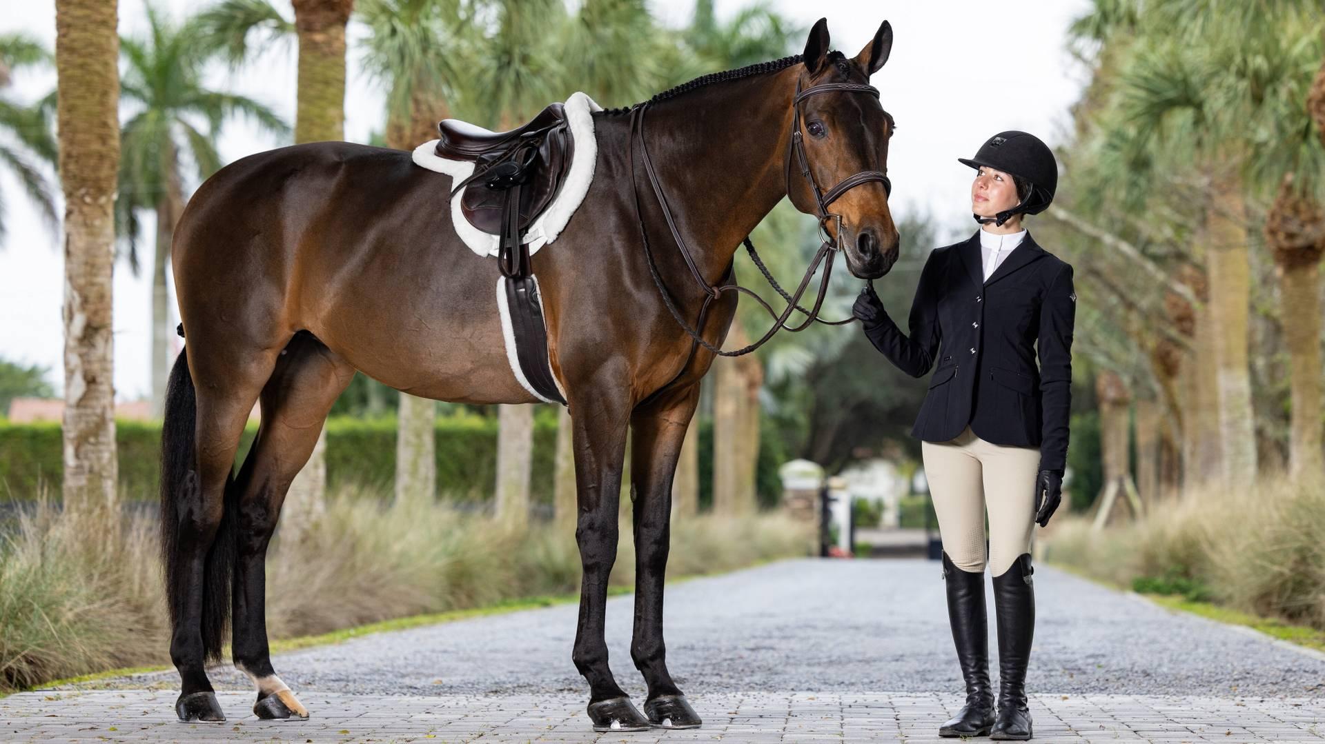Merino+ ProSorb Hunter Saddle Pad-English Saddle Pads-LeMieux-Medium-Evolution Equestrian Co.