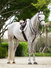 Load image into Gallery viewer, Merino+ ProSorb Hunter Saddle Pad-English Saddle Pads-LeMieux-Medium-Evolution Equestrian Co.
