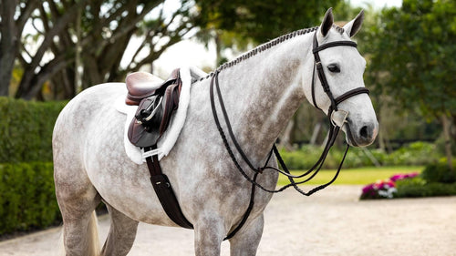 Merino+ ProSorb Hunter Saddle Pad-English Saddle Pads-LeMieux-Medium-Evolution Equestrian Co.