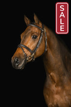 Load image into Gallery viewer, Equestrian_Training_Bridle_Mrs_Ross_Ortega
