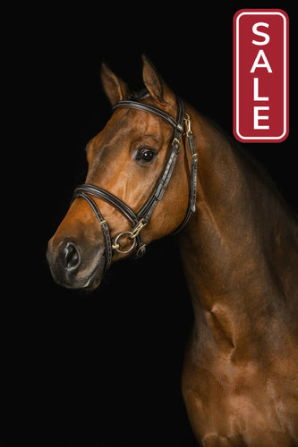 Equestrian_Training_Bridle_Mrs_Ross_Ortega