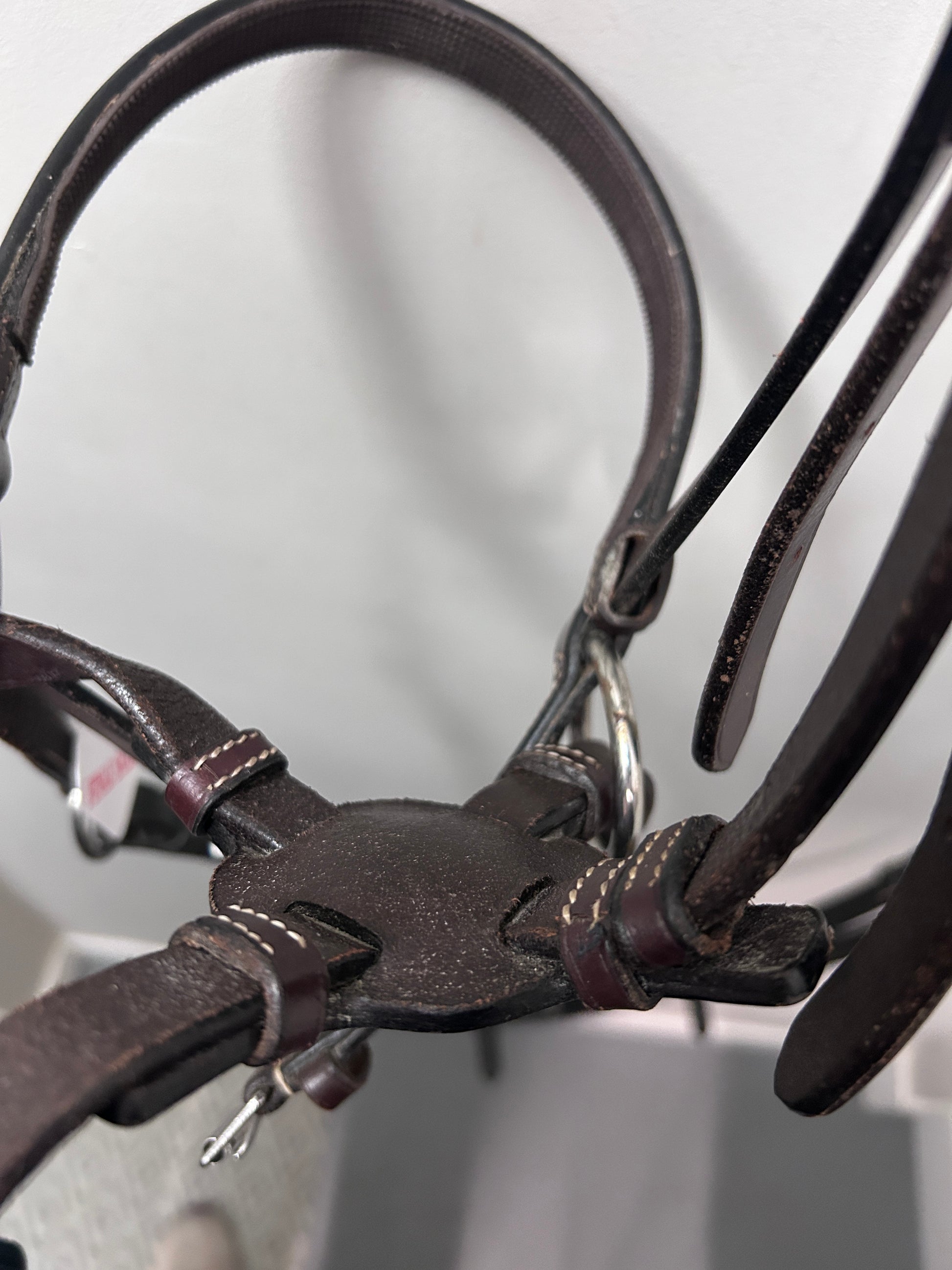 Nurtural Bitless Bridle Horse with Reins-Bridle-Consignment-Evolution Equestrian Co.