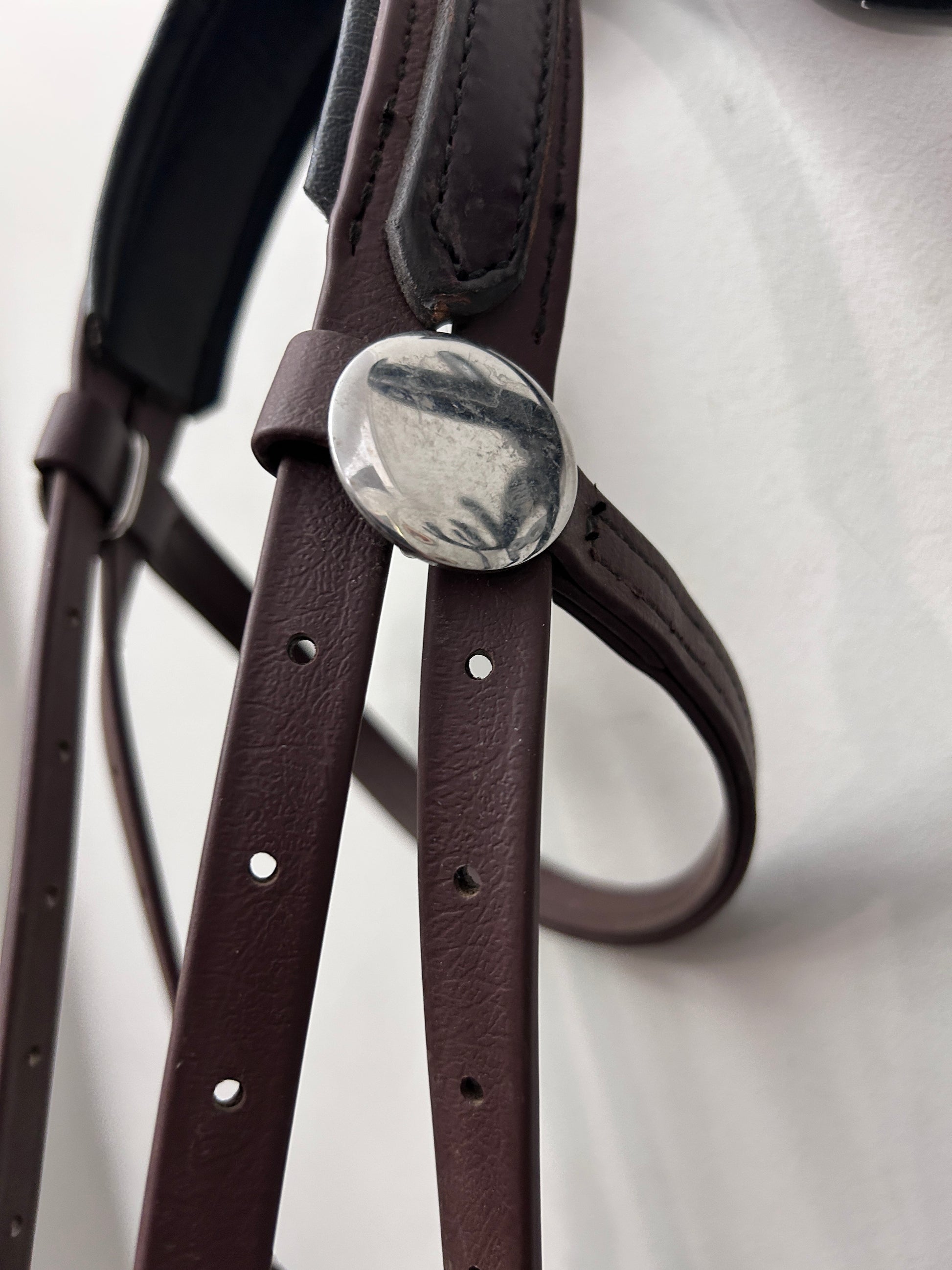 Nurtural Bitless Bridle Pony with Reins-Bridle-Consignment-Evolution Equestrian Co.