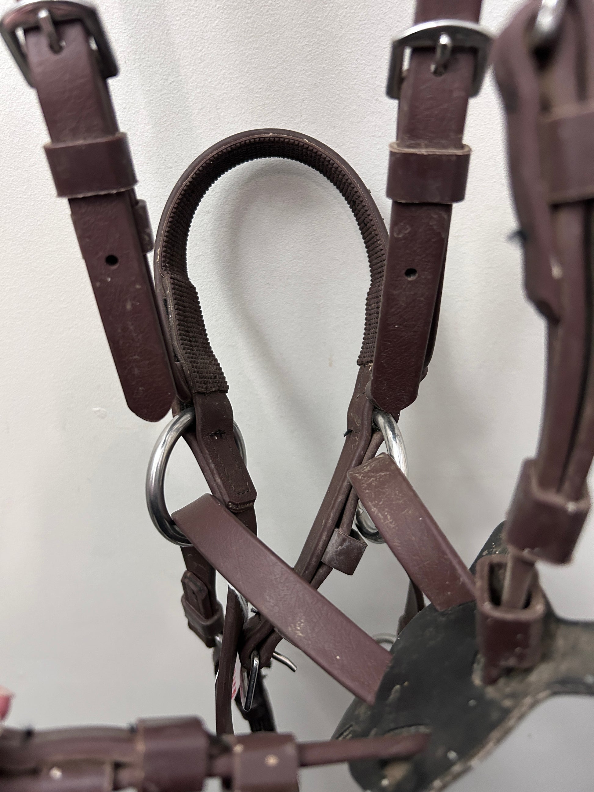 Nurtural Bitless Bridle Pony with Reins-Bridle-Consignment-Evolution Equestrian Co.