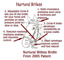 Load image into Gallery viewer, Nutural Synthetic Bitless Bridle Red Cob-Bitless Bridle-Consignment-Evolution Equestrian Co.

