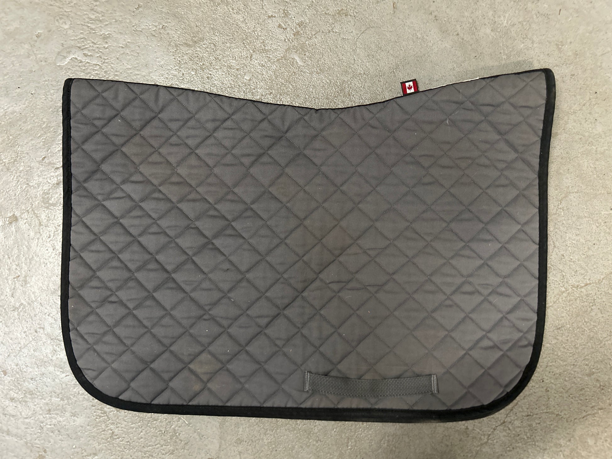 Ogilvy Baby Pad Grey/Black-English Saddle Pad-Consignment-Evolution Equestrian Co.