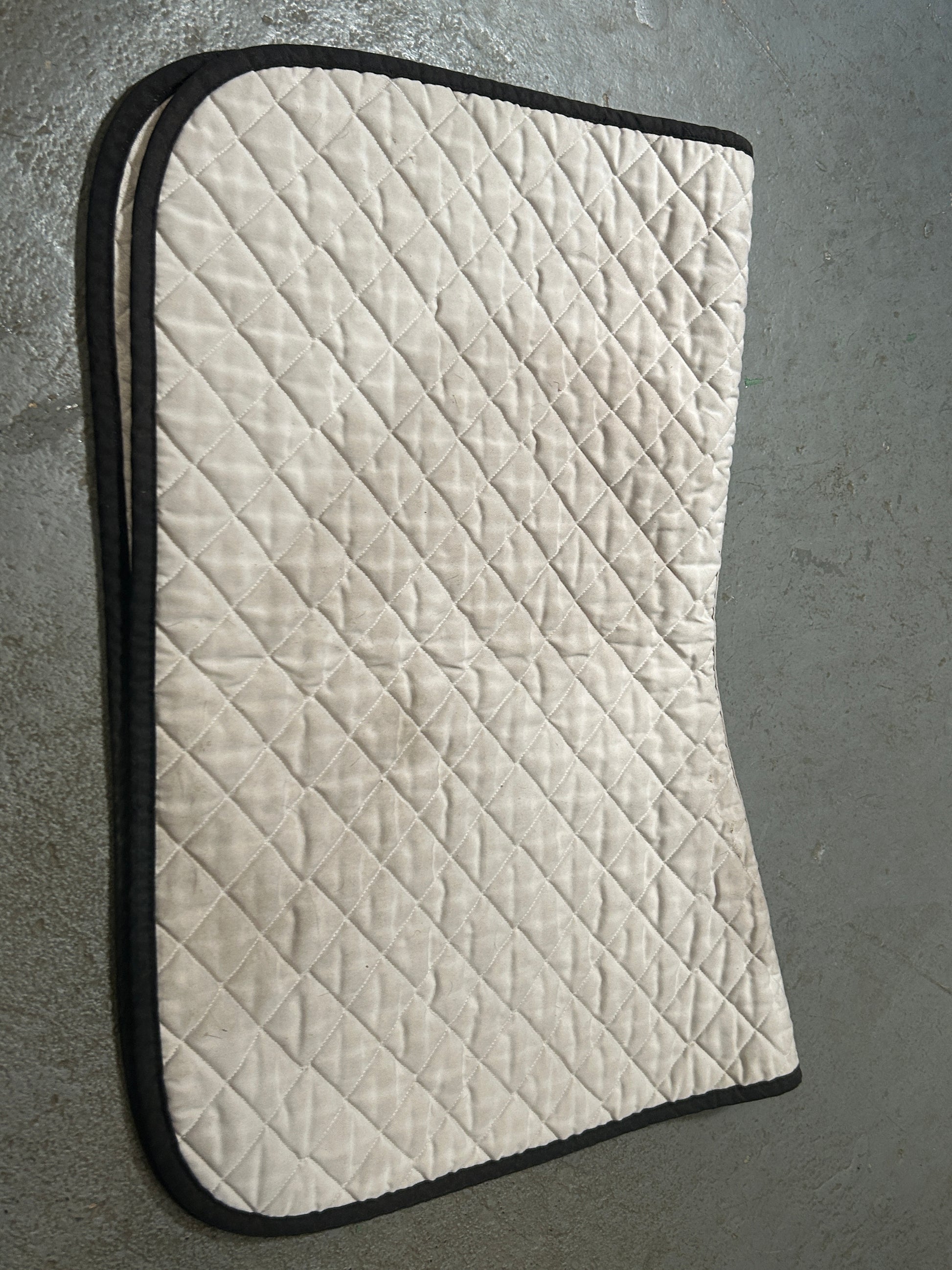 Oglivy Off-White Baby Pad-English Saddle Pad-Consignment-Evolution Equestrian Co.