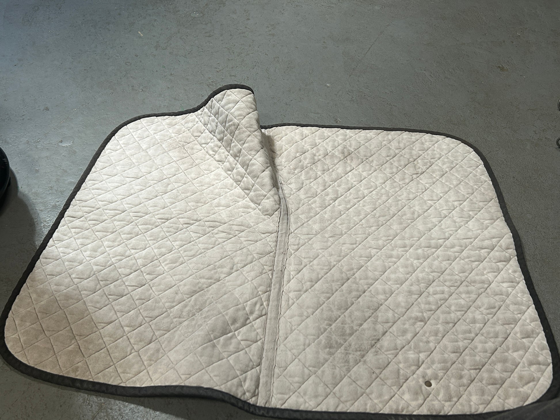 Oglivy Off-White Baby Pad-English Saddle Pad-Consignment-Evolution Equestrian Co.