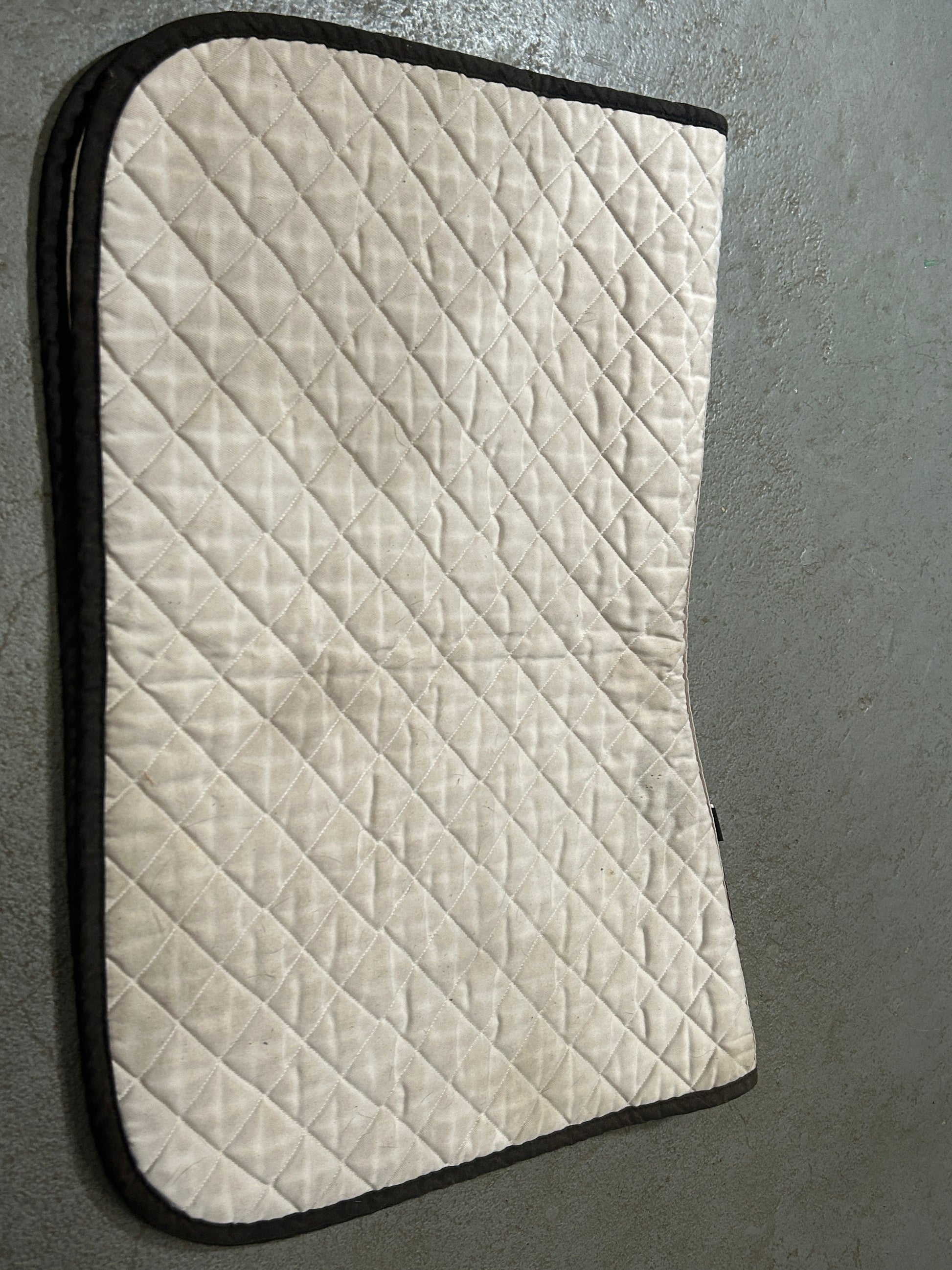 Oglivy Off-White Baby Pad-English Saddle Pad-Consignment-Evolution Equestrian Co.