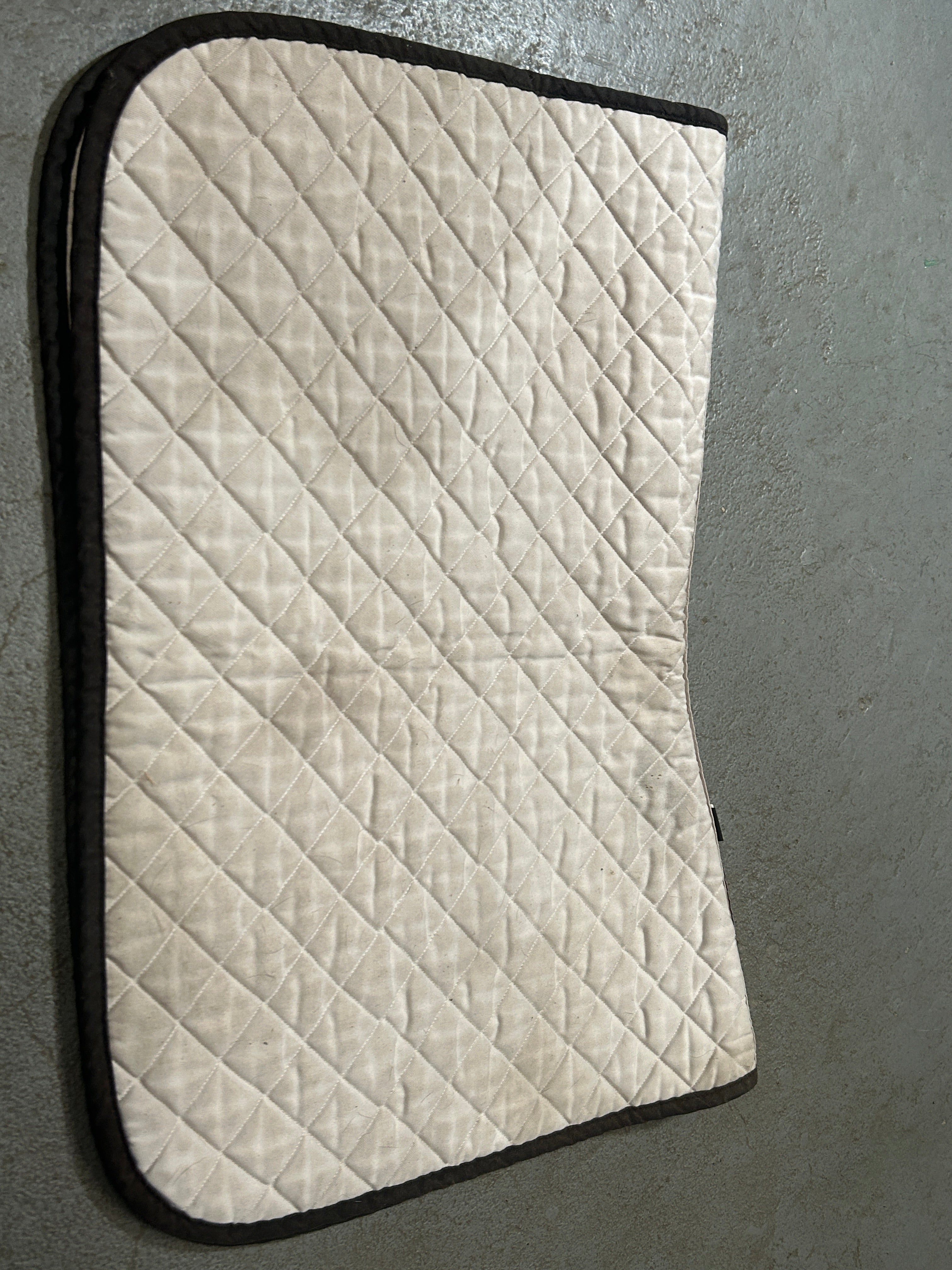 Oglivy Off-White Baby Pad-English Saddle Pad-Consignment-Evolution Equestrian Co.