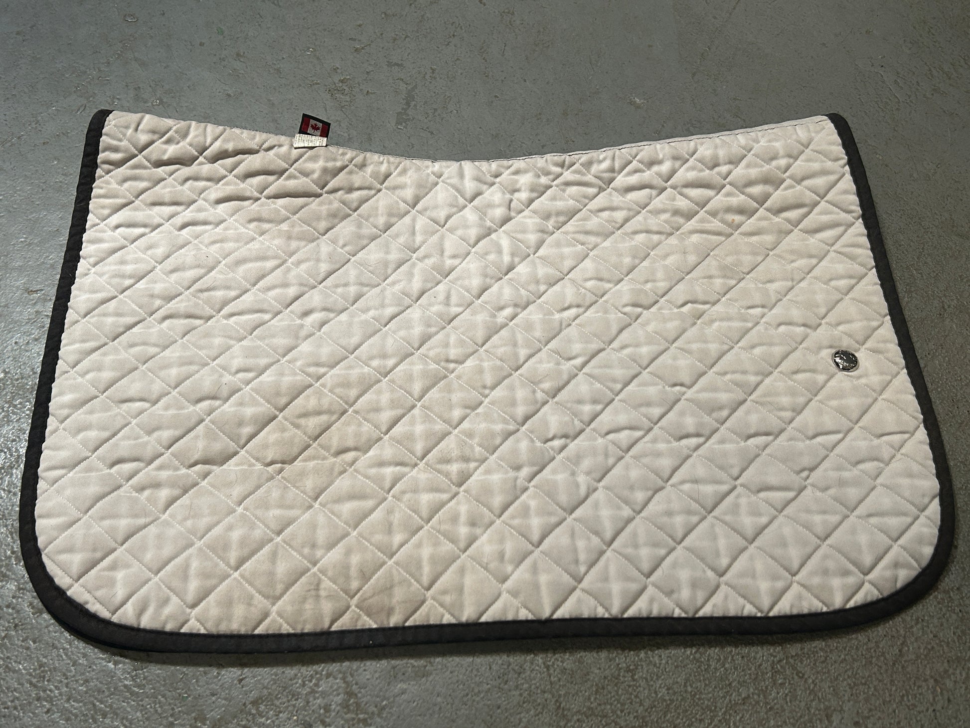 Oglivy Off-White Baby Pad-English Saddle Pad-Consignment-Evolution Equestrian Co.