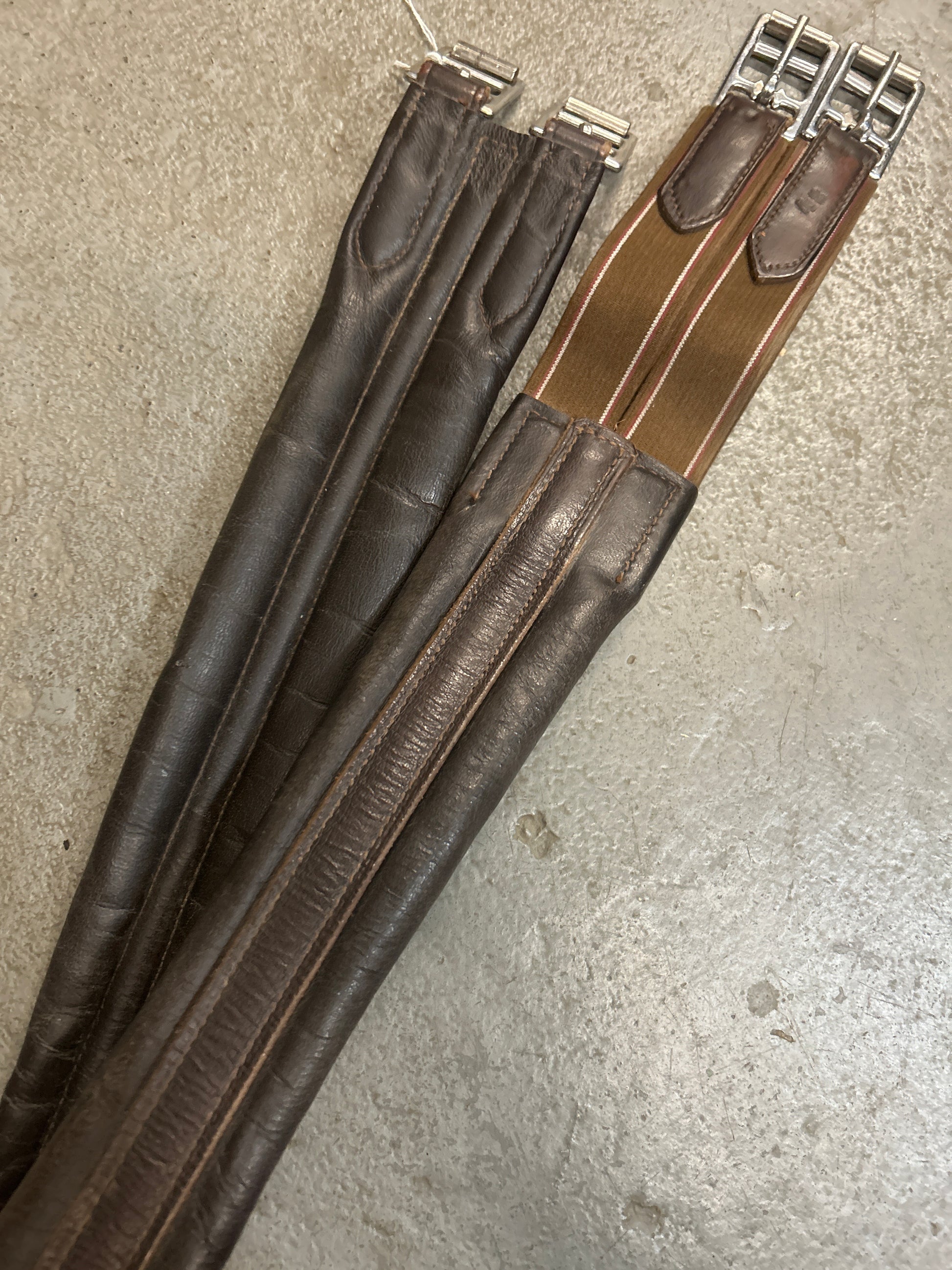 Padded Leather Girth 48"-English Girth-Consignment-Evolution Equestrian Co.