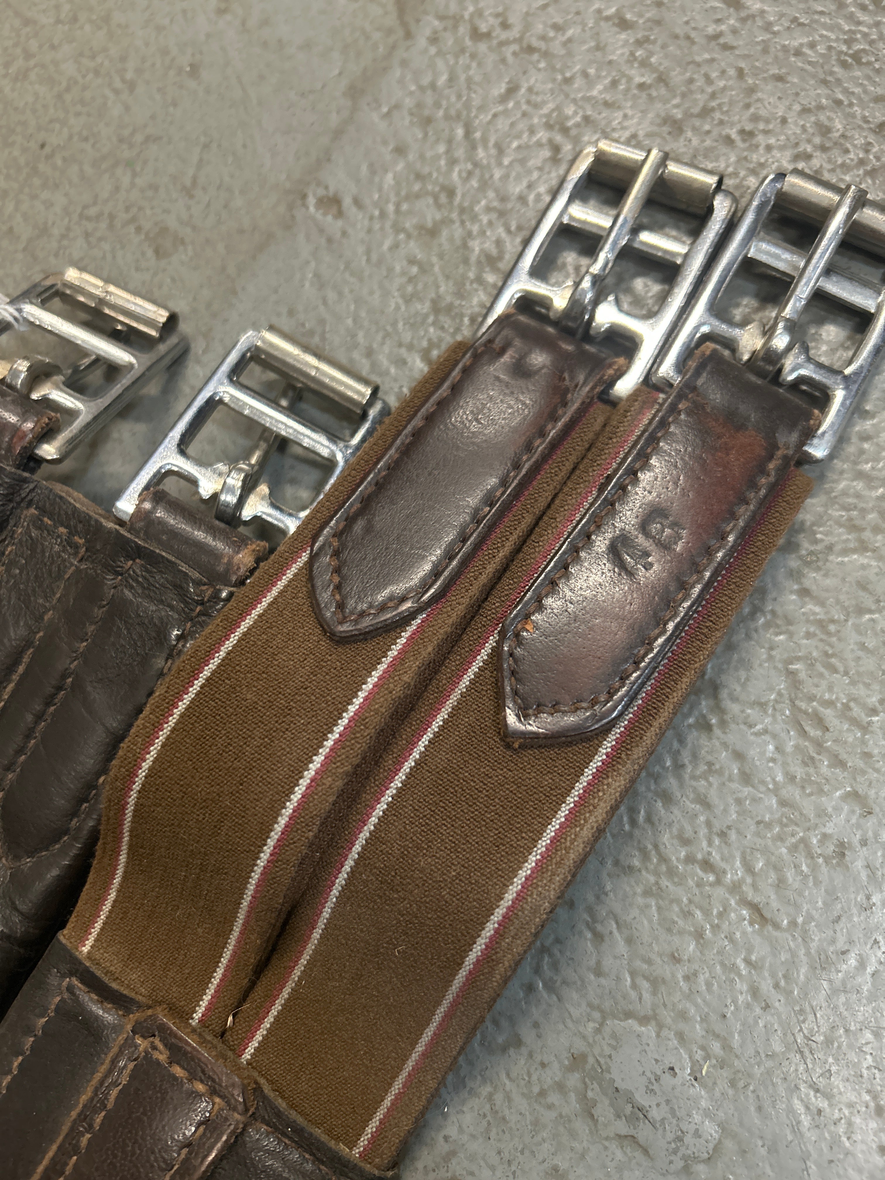 Padded Leather Girth 48"-English Girth-Consignment-Evolution Equestrian Co.