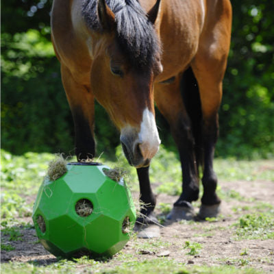 Parallax Hay Play Ball-Stable Supplies-Canadian Centurion Supply-Blue-Evolution Equestrian Co.